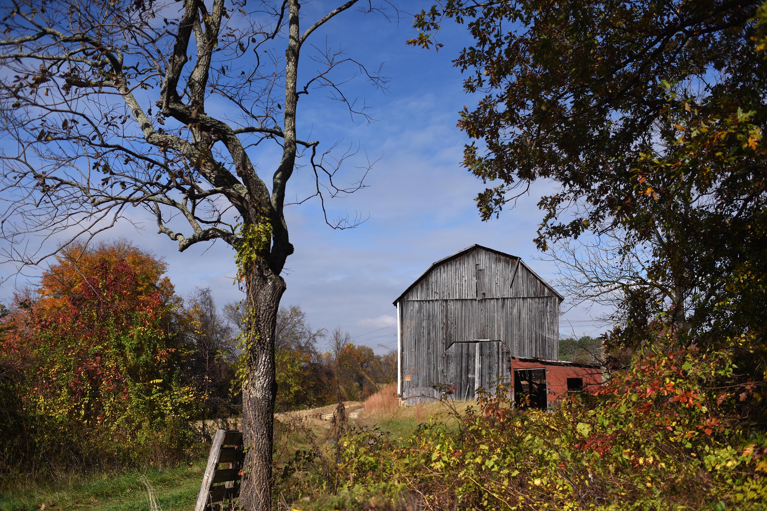 Autumn colours on display at Owl’s Nest Farm (Washington Post)