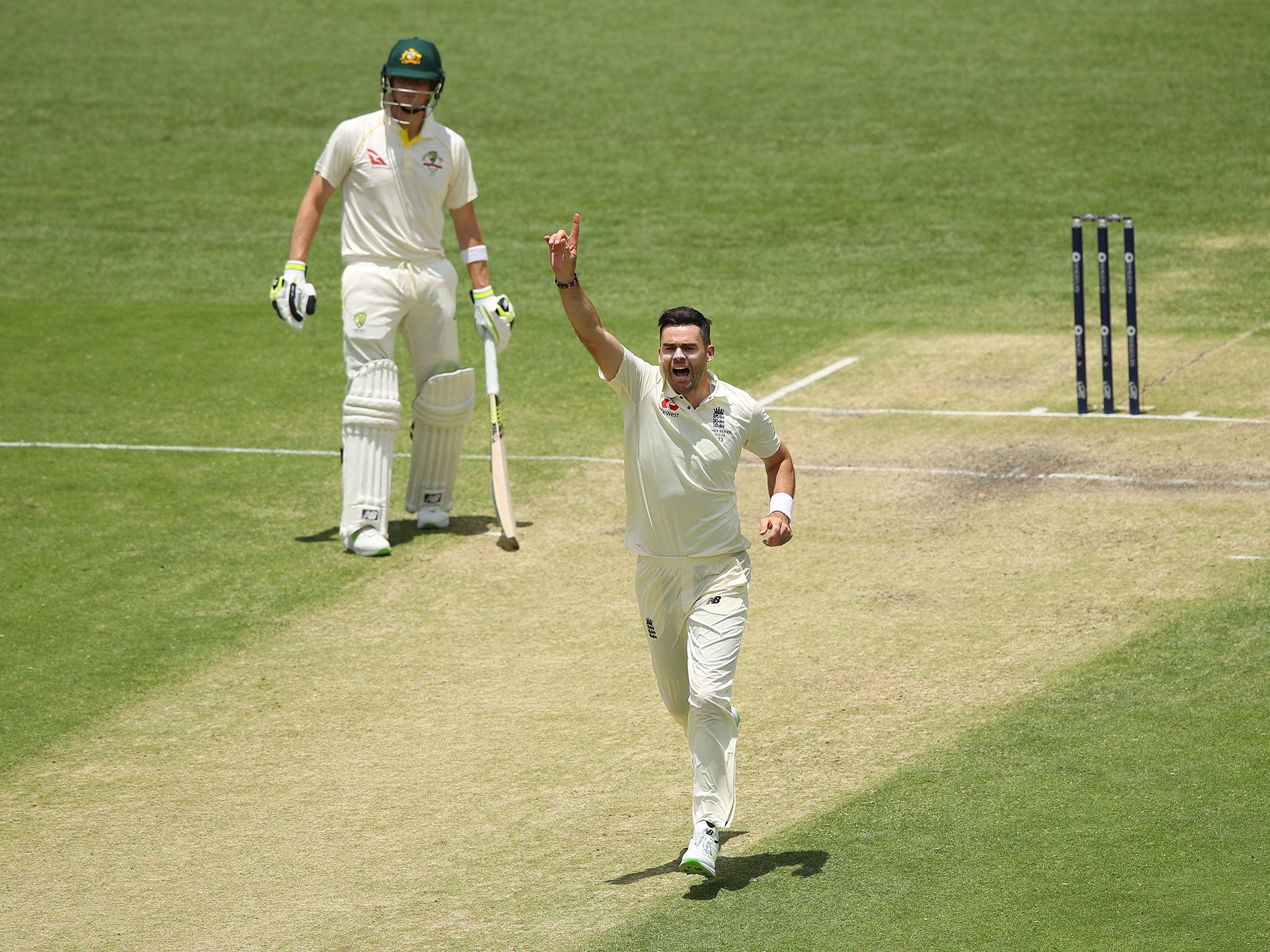 James Anderson celebrates the dismissal of Tim Paine