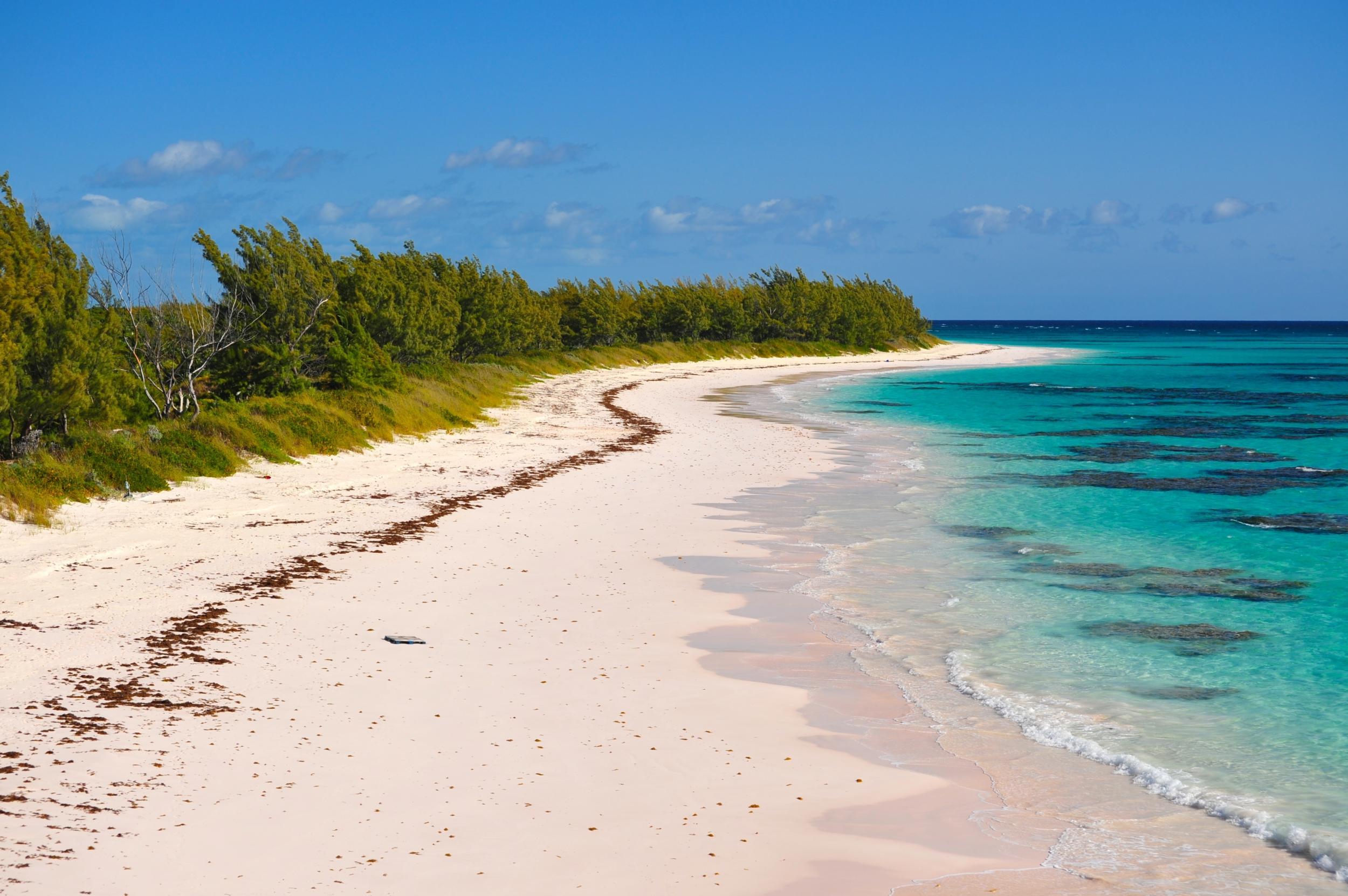 Pink Sands Beach was only accessible by dirt paths until a ramp was installed recently Shutterstock/Leonux