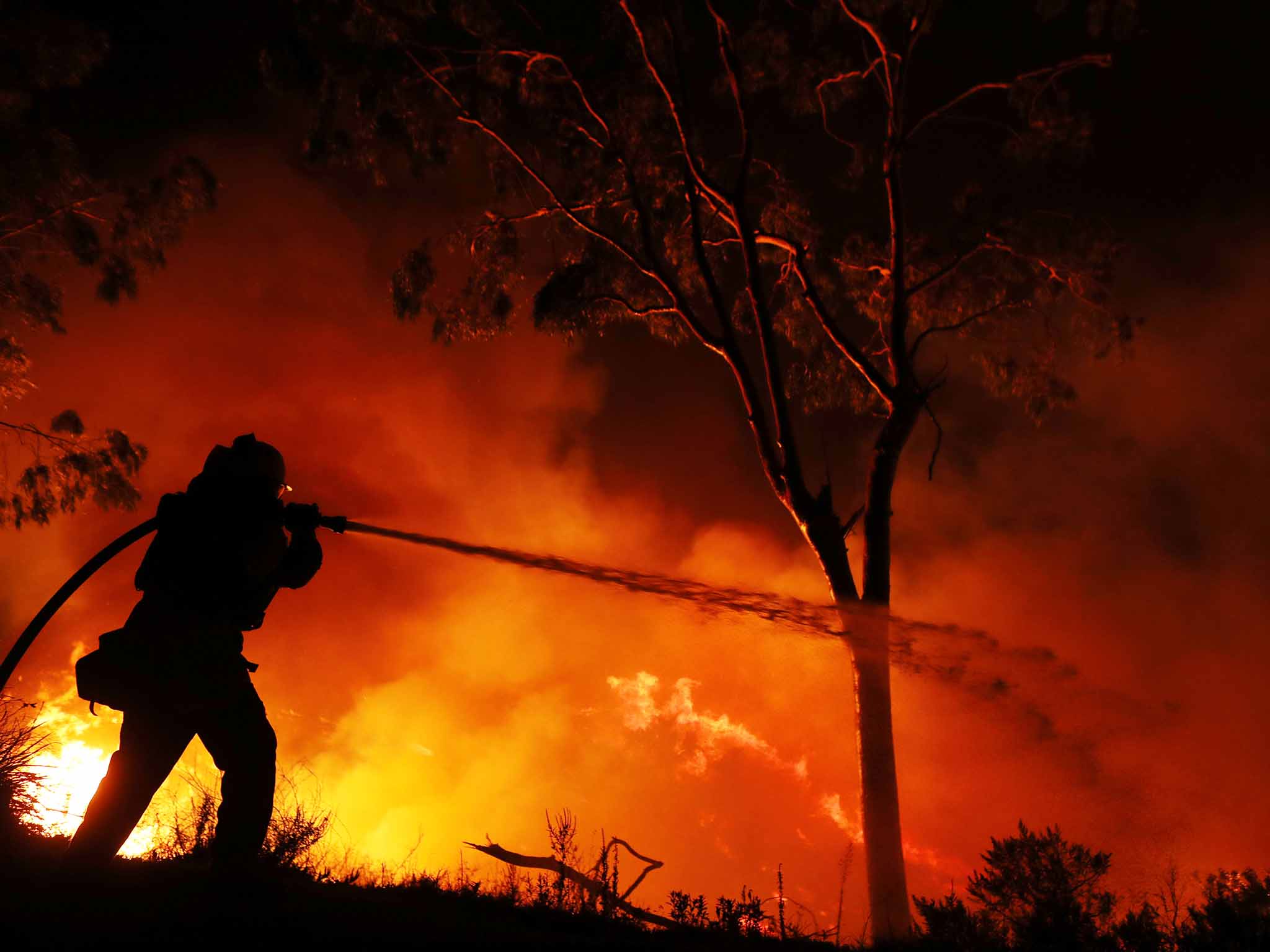 A firefighter is working on extinguishing the Lilac Fire in southern California