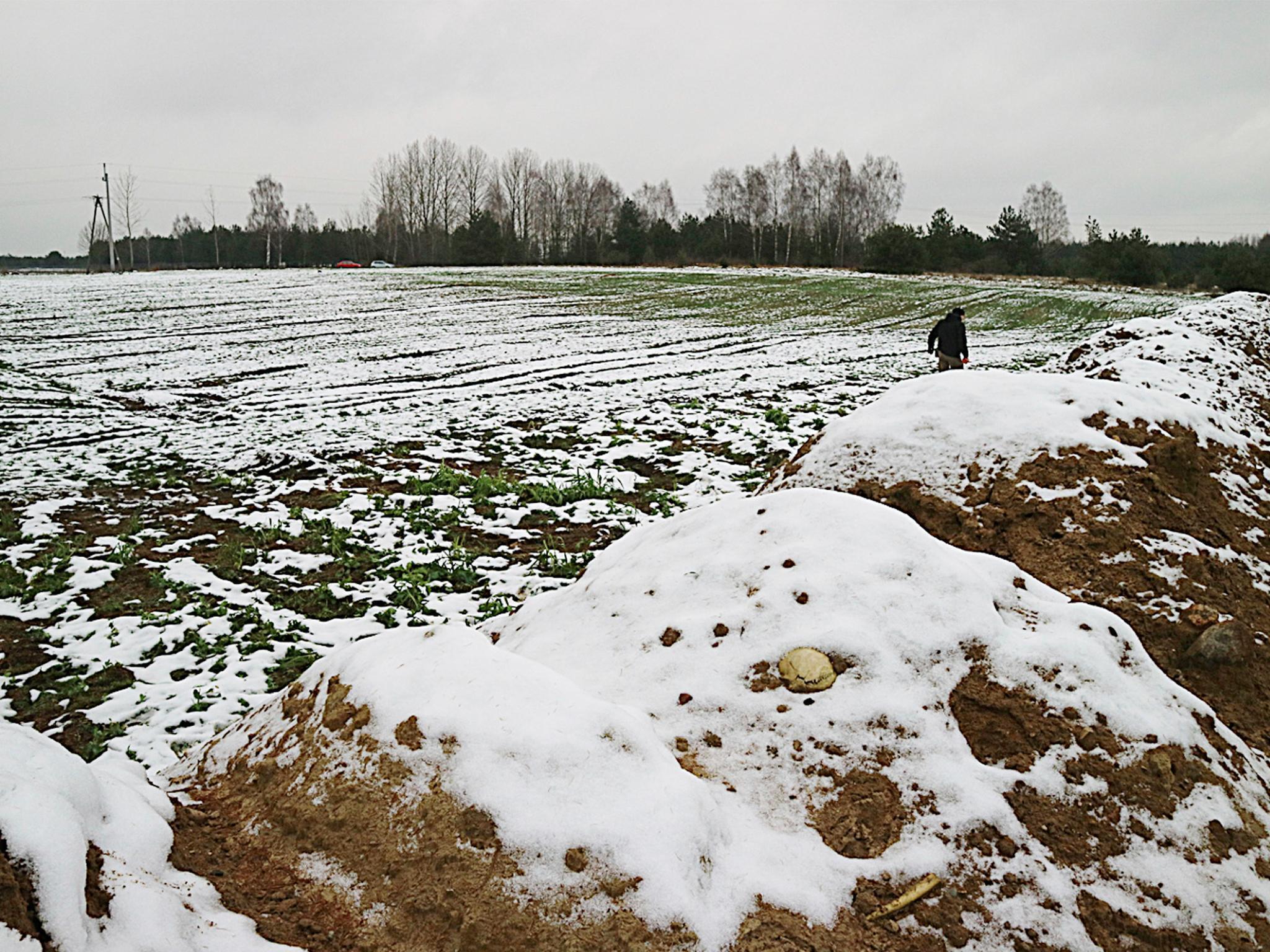 A skull and other remains can be seen protruding from mounds of earth in Siemiatycze