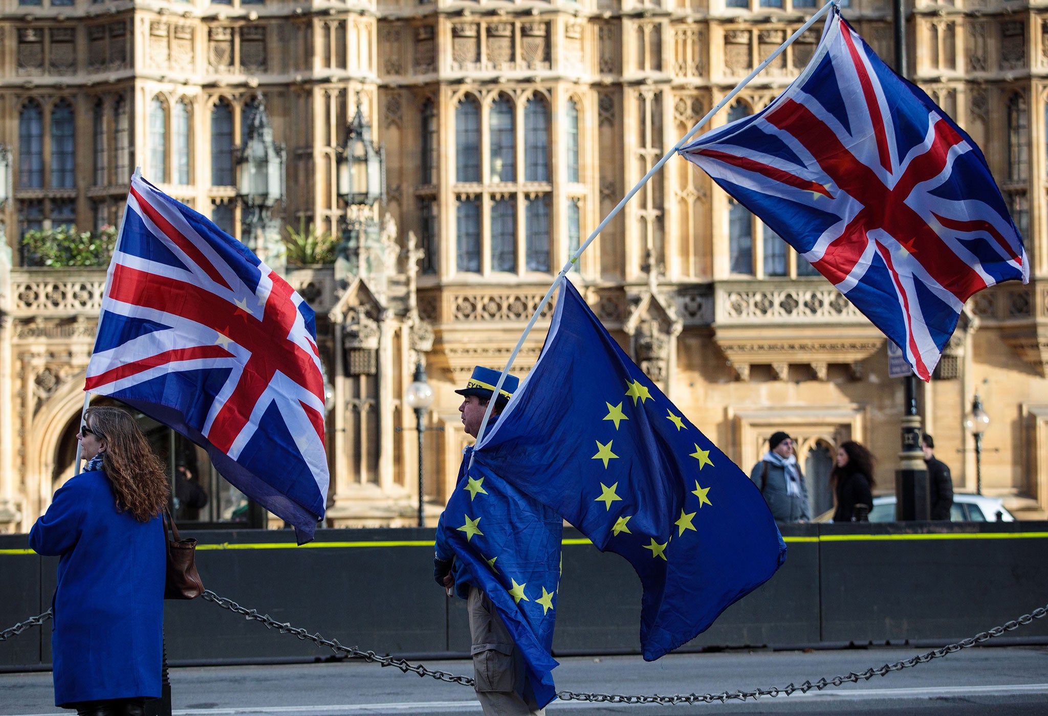 Pro-EU protestors carry flags outside the Houses of Parliament