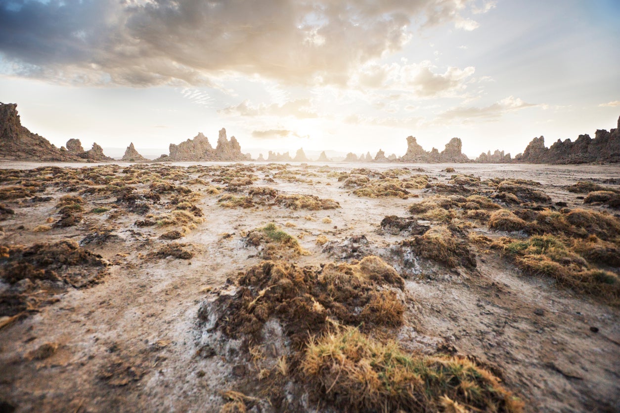 Djibouti was deemed an odd choice due to a questionable human rights record (Getty)