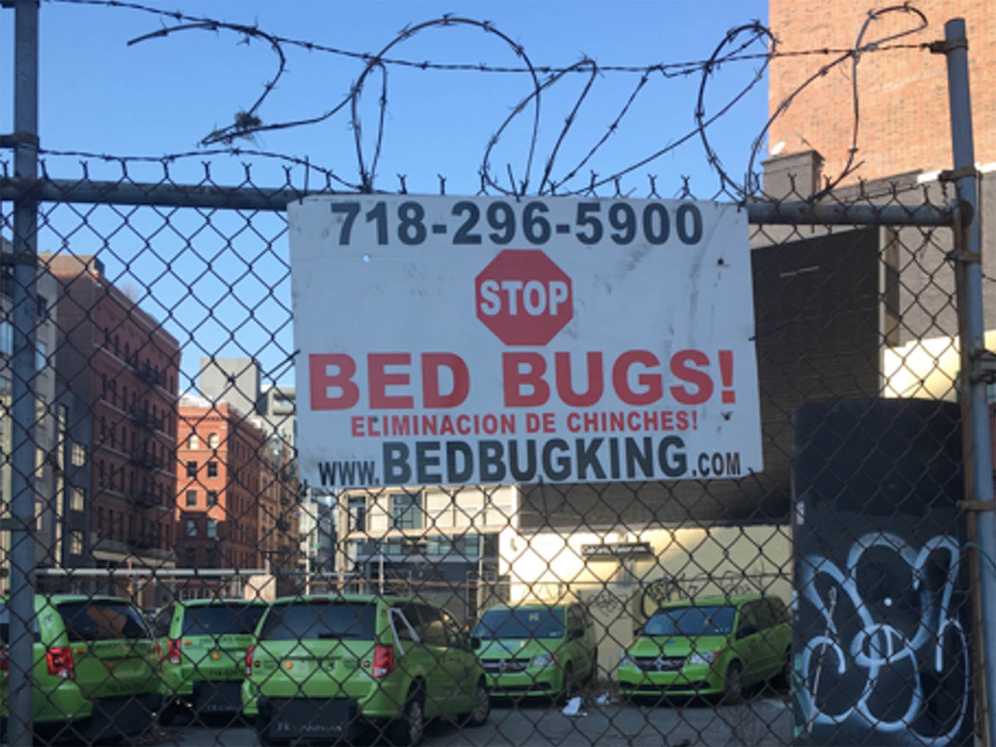 Once introduced, bedbugs can quickly spread from one infested place to another