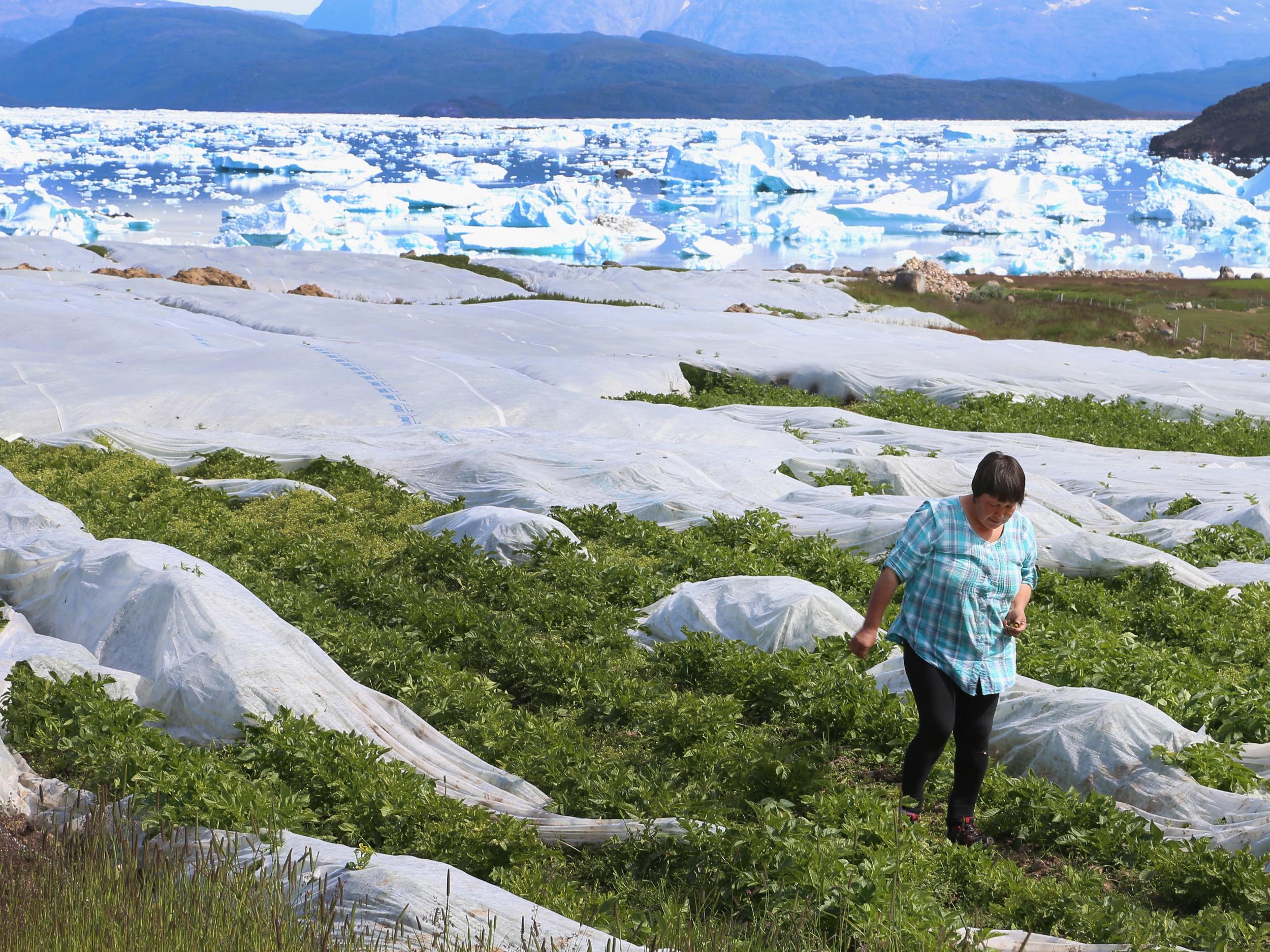 Communities in the Arctic are particularly susceptible to climate change, where the effects of global warming are thought to be far more extreme than the global average