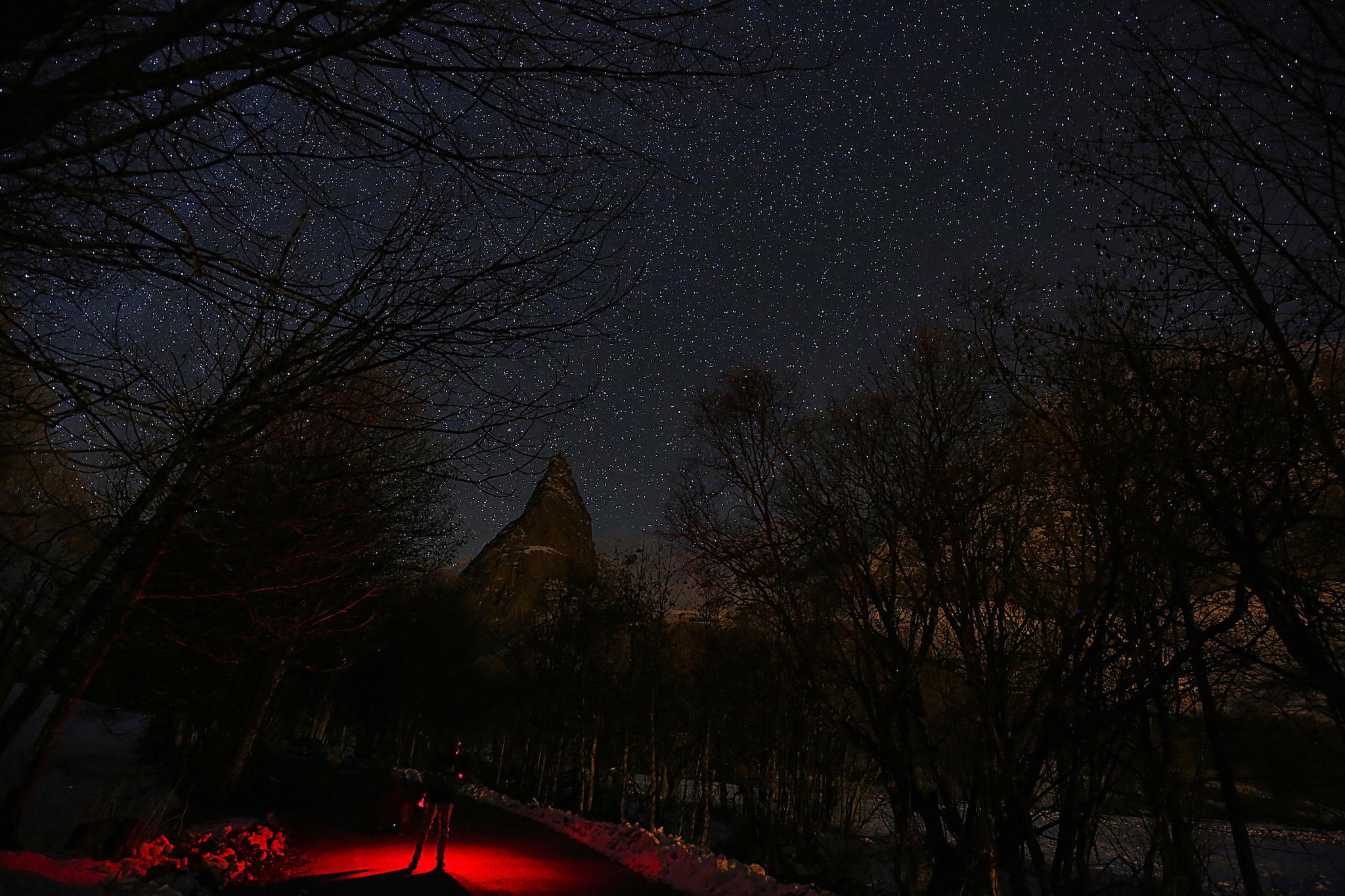 A photographer looks at the sky at night to see the annual Geminid meteor shower near Provenzales' rock, in Maira Valley, northern Italy on December 6, 2016