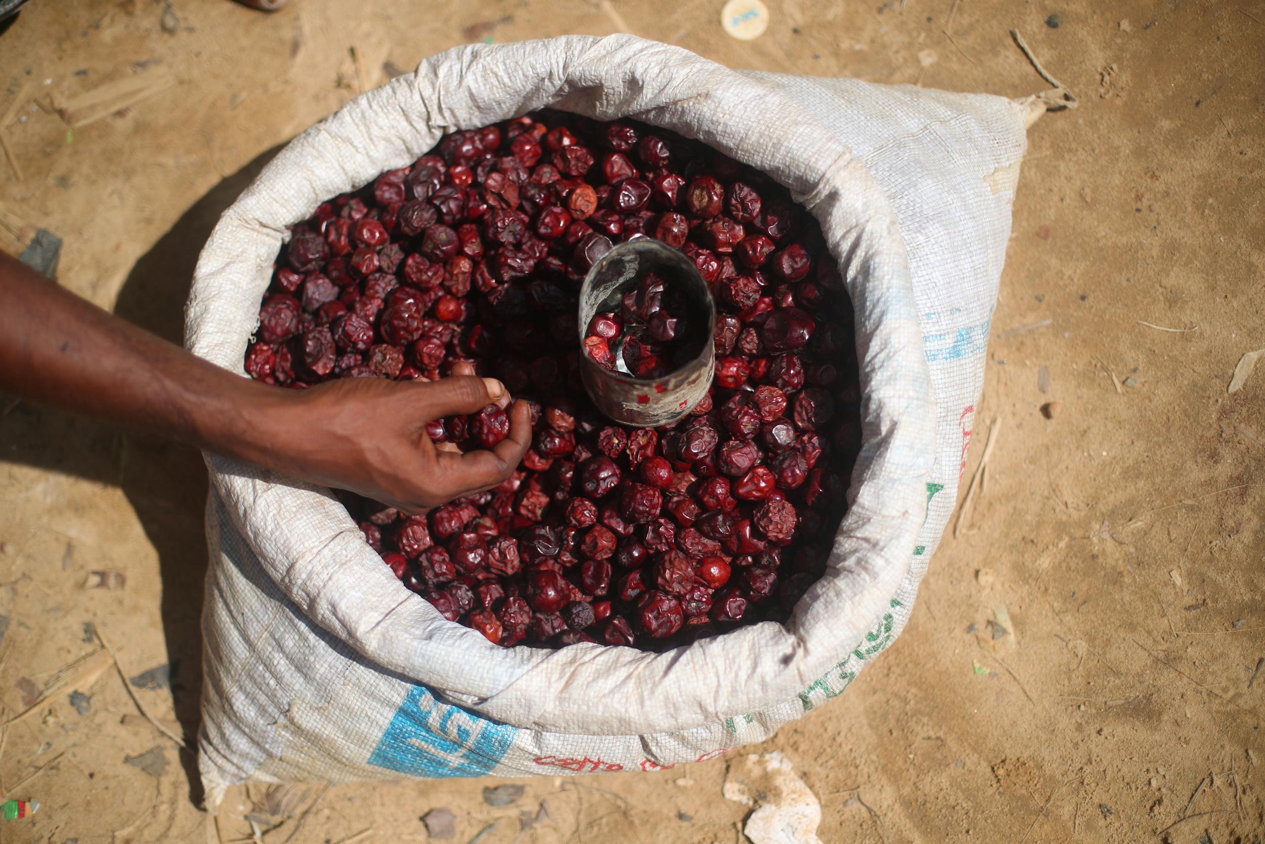 Bangladeshi traders sell plum at a stall in the camp, one pot costing 9p (Reuters)