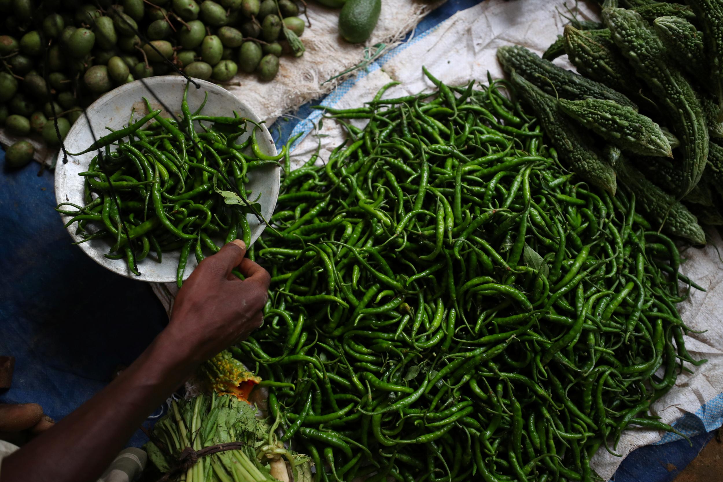 Rohingya refugee and trader Abul Fayaj weighs green chillies, which he sells for 200 taka (£1.80) (Reuters)