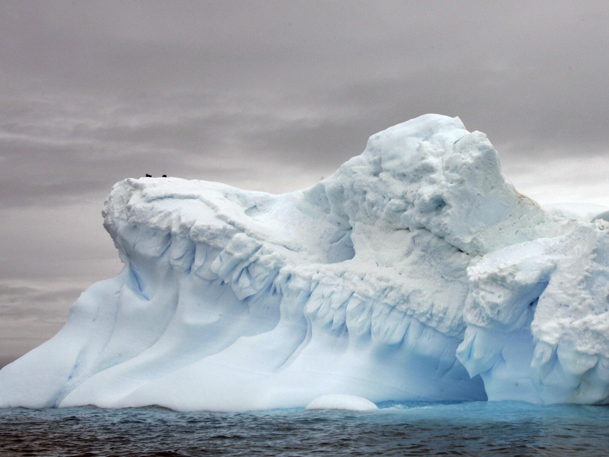 Glaciers in Antarctica