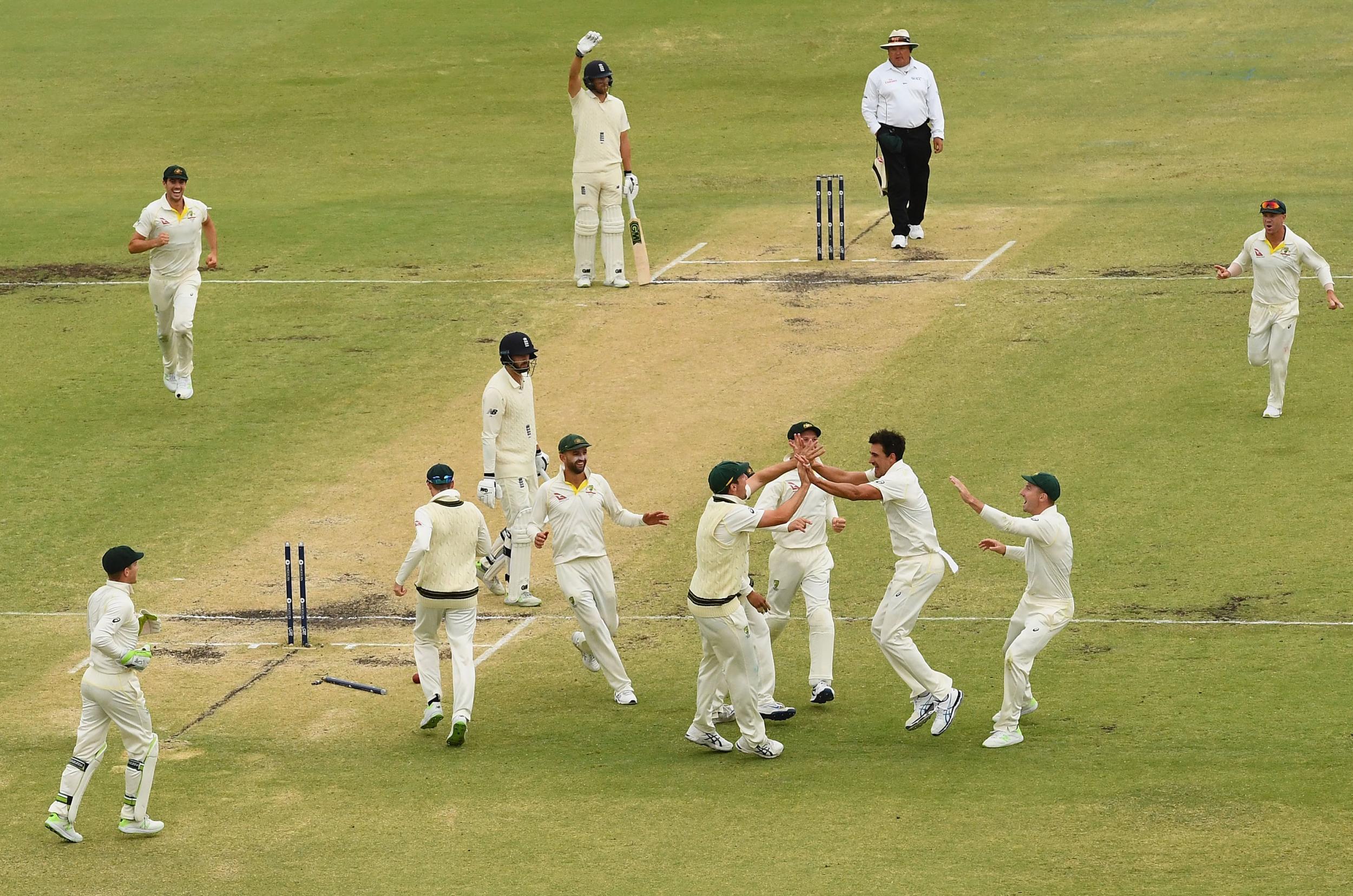 Mitchell Starc celebrates the wicket of James Vince