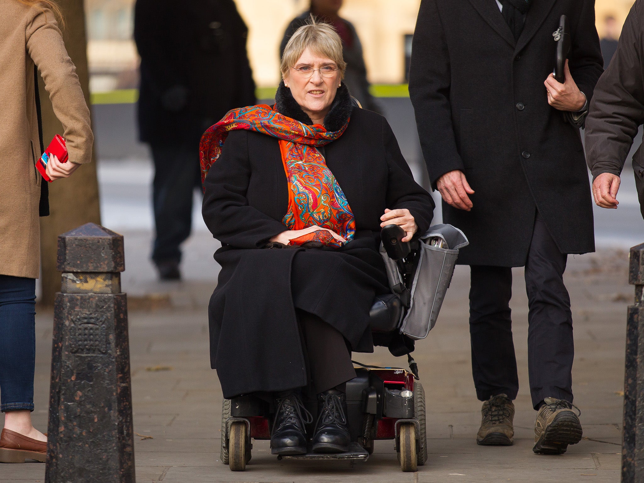 Lib Dem party president Sal Brinton is helping lead the charge for better disabled access at Westminster (Rex)