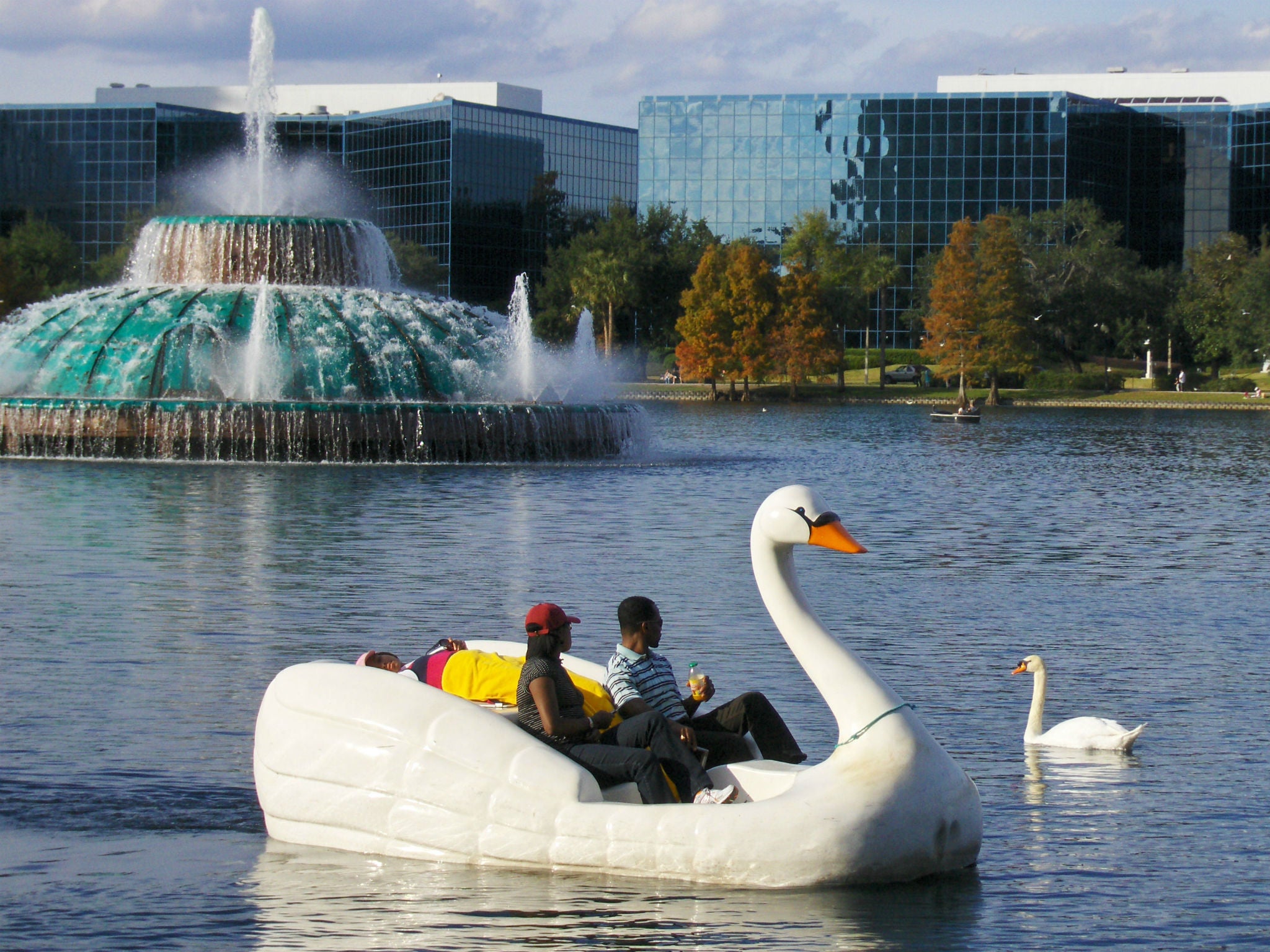 How it is meant to be done. Visitors to Lake Eola pedal a swan boat past the fountain where 36-year-old Kyle Thurston was stranded after taking MDMA