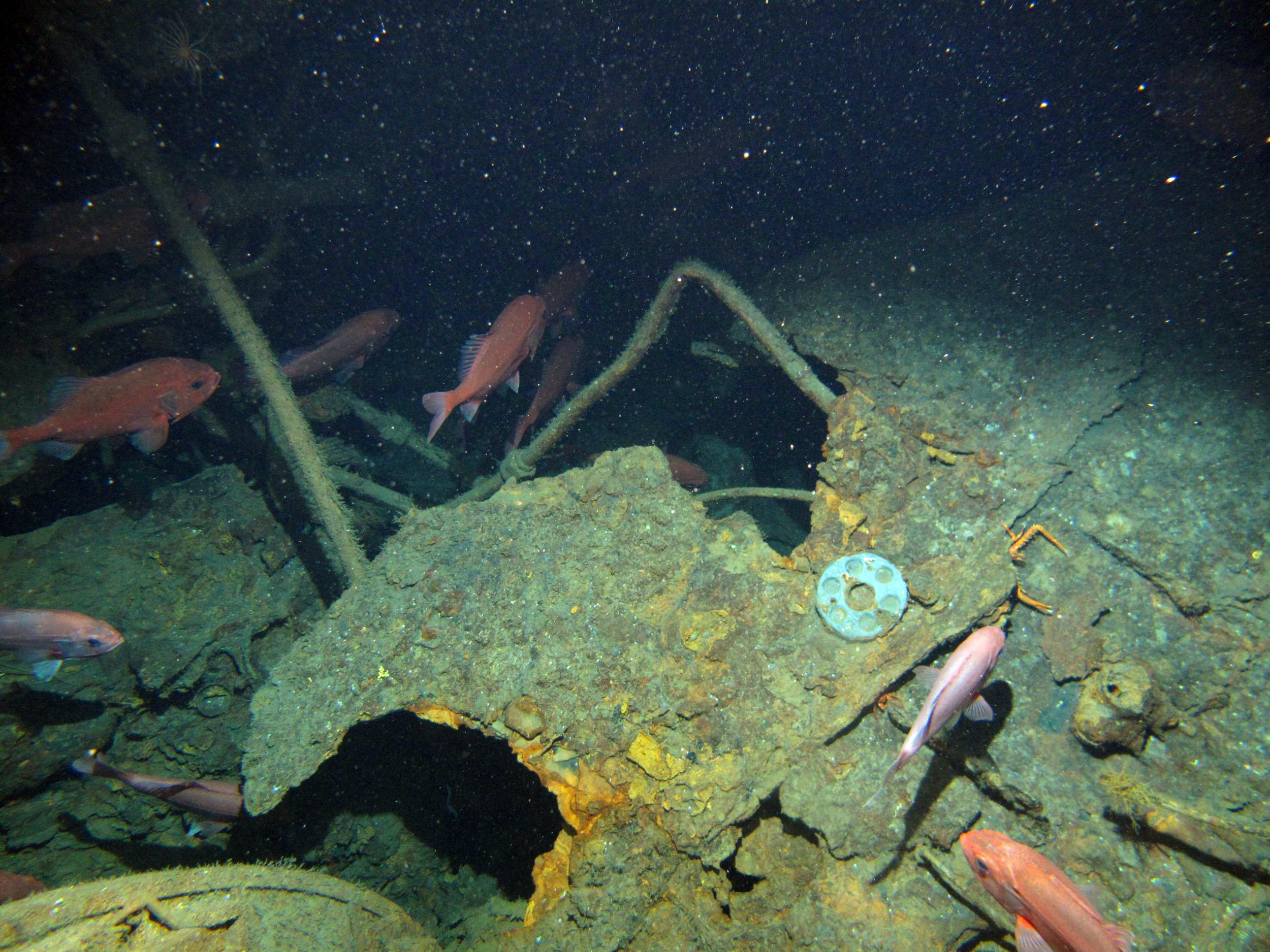 The first images captured by the expedition show the submarine apparently in one piece