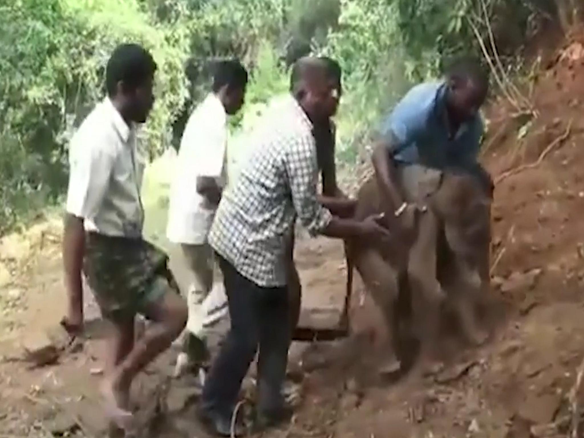 After the elephant kept returning to its helpers they decided to carry it home SWNS