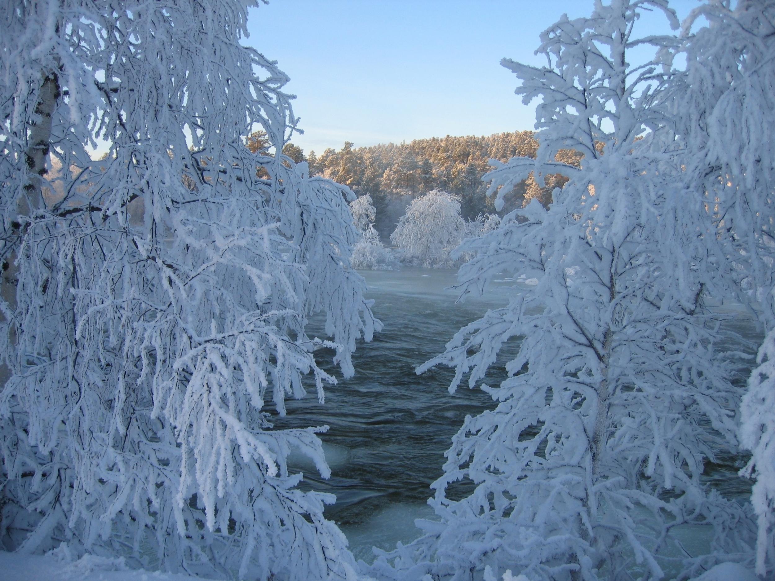 Much of Lapland's population relies on its cold climate for their livelihoods (Stephanie C Lefrere)