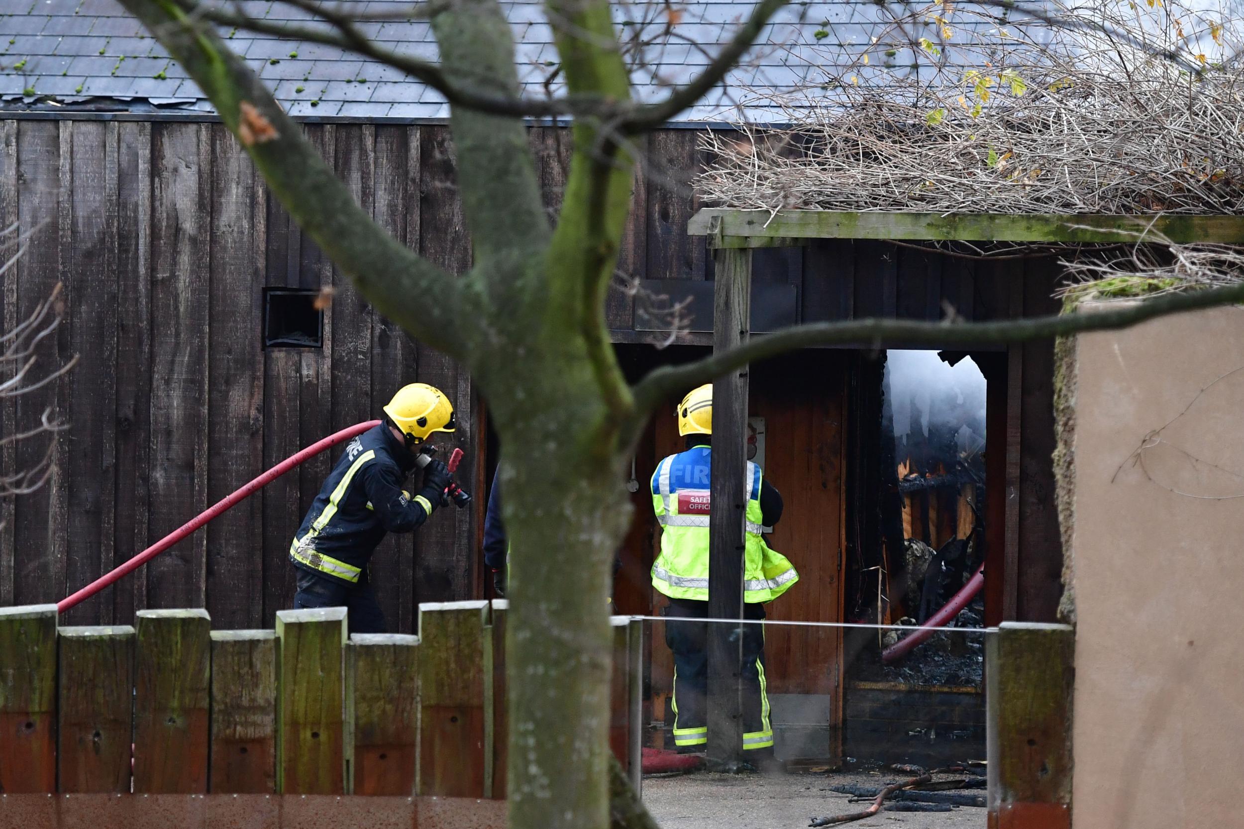 Firefighters at London Zoo after bring the flames under control