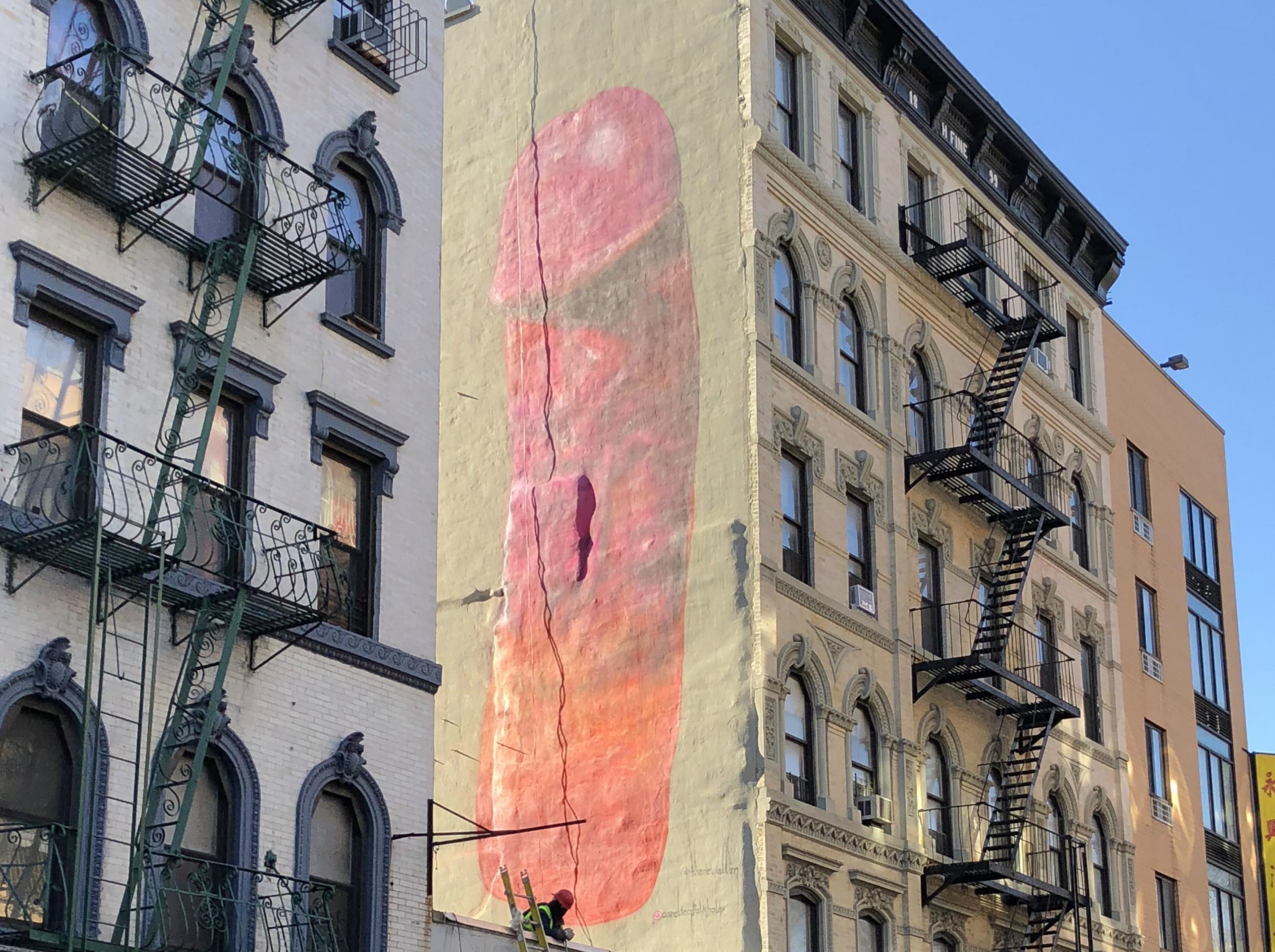 Residents are dismayed the penis mural will be covered