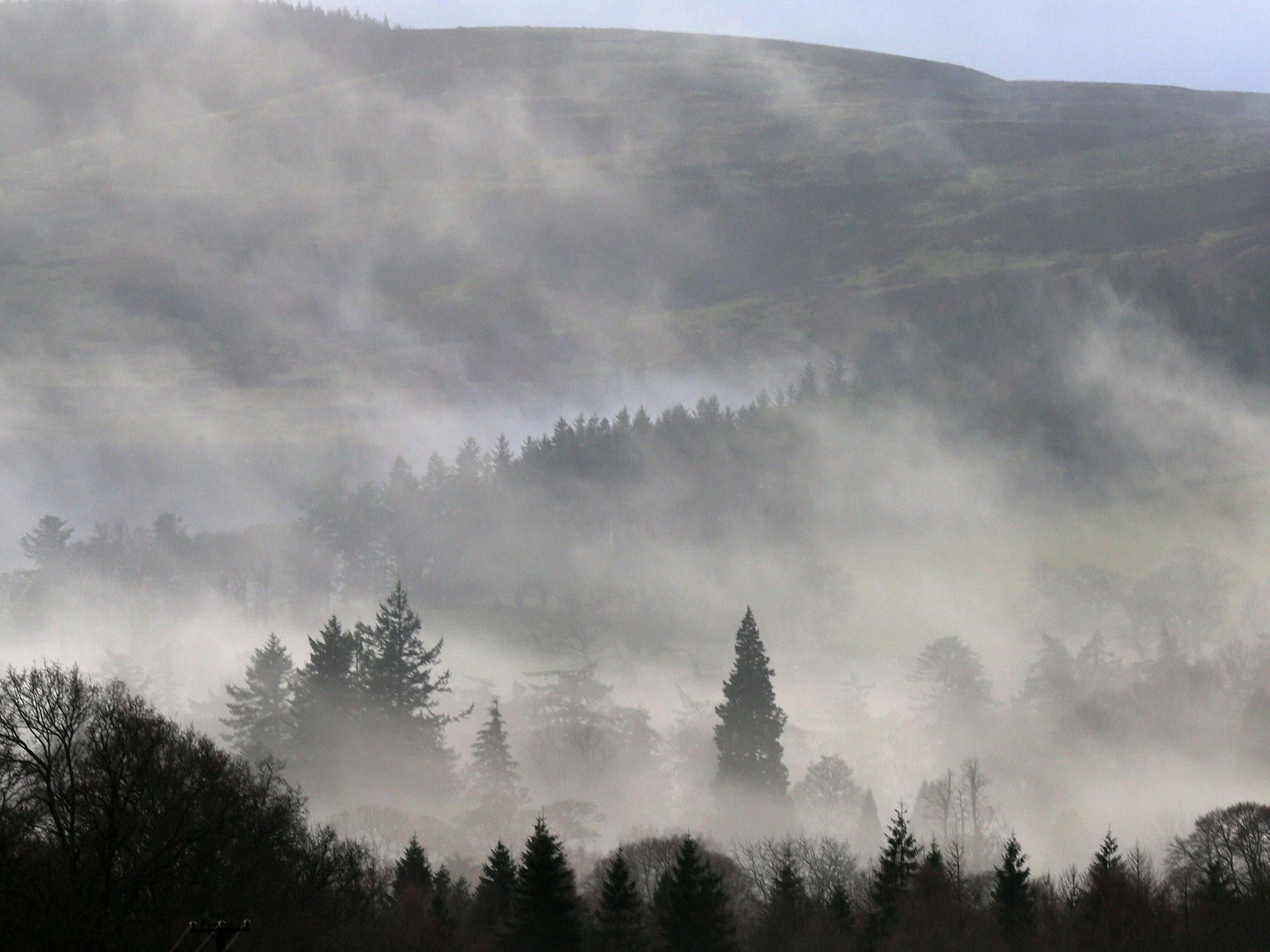 The bodies of a man in his 50s and a woman in her 40s were discovered at house in the Scottish Borders on Boxing Day