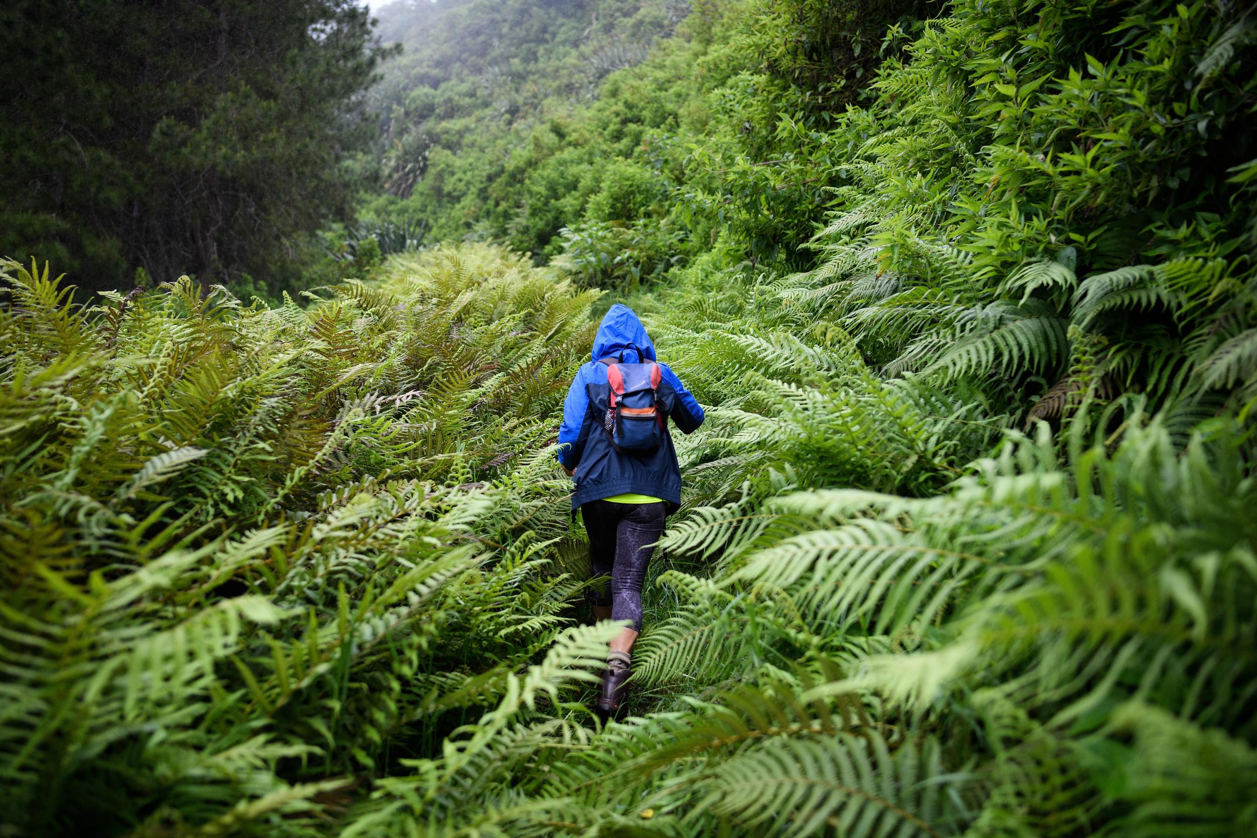 Go for a hike on St Helena with Val Joshua