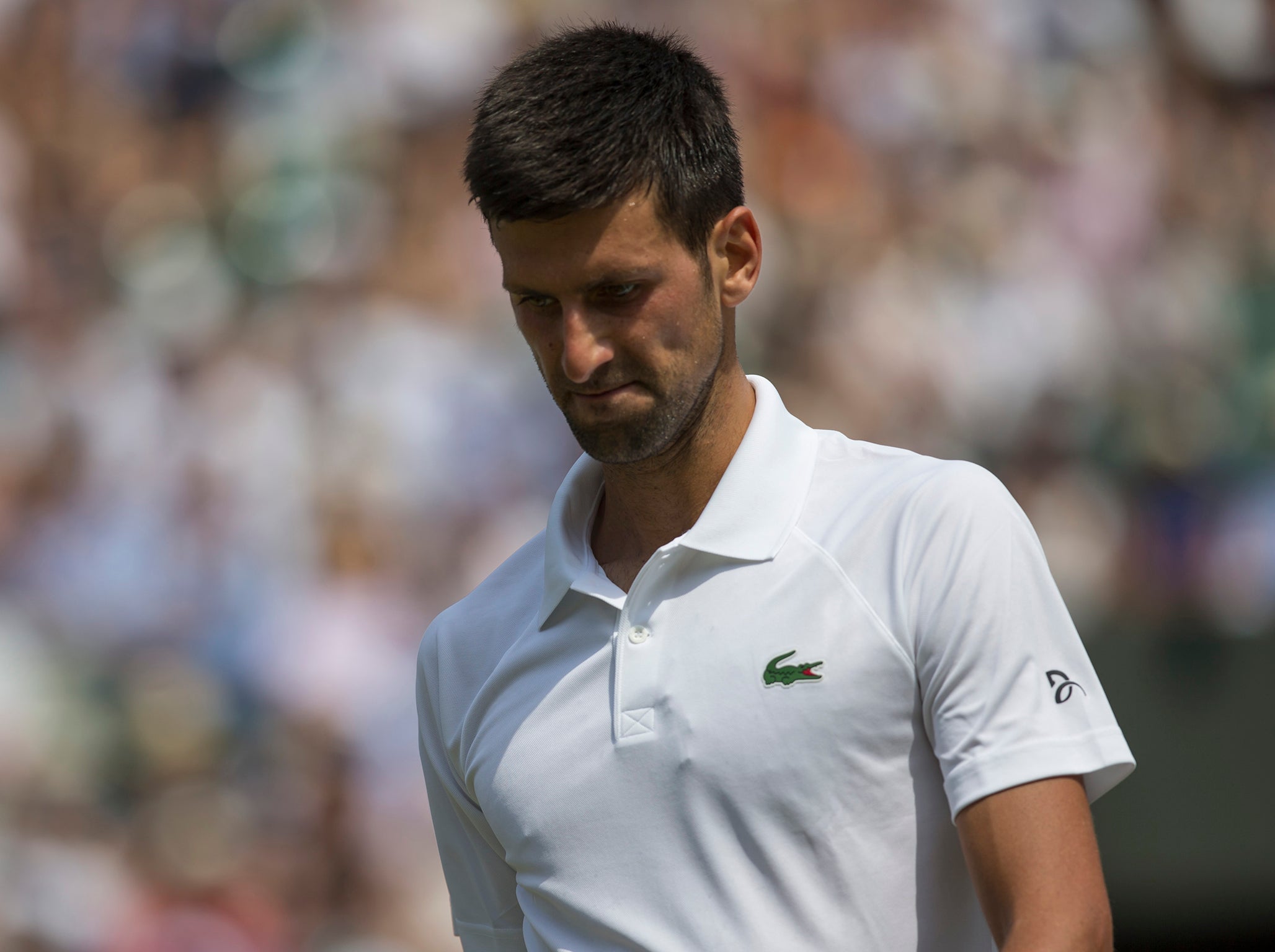 Novak Djokovic has withdrawn from the Mubadala World Tennis Championship