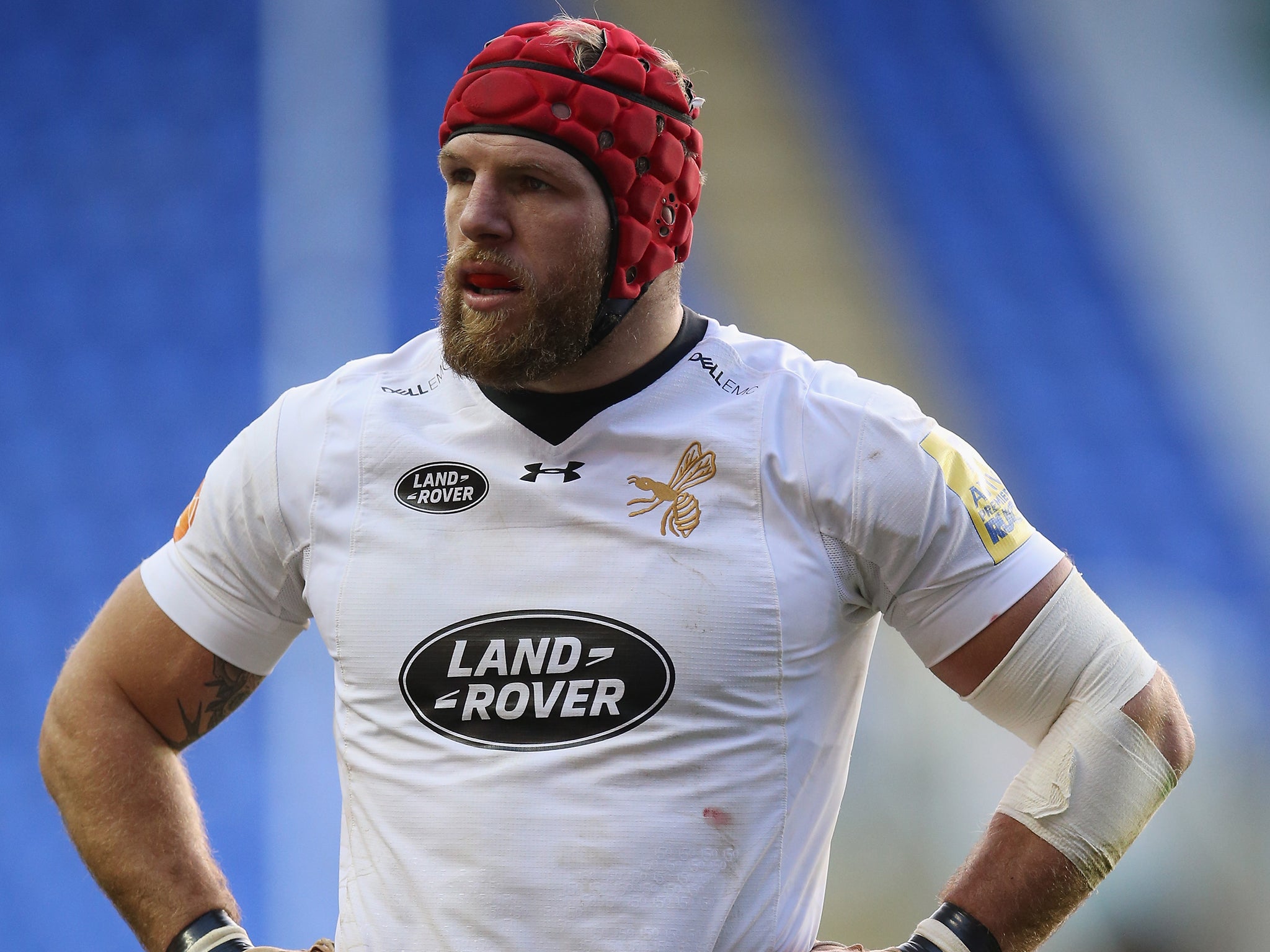 James Haskell helped Wasps to European victory in 2004 and 2007