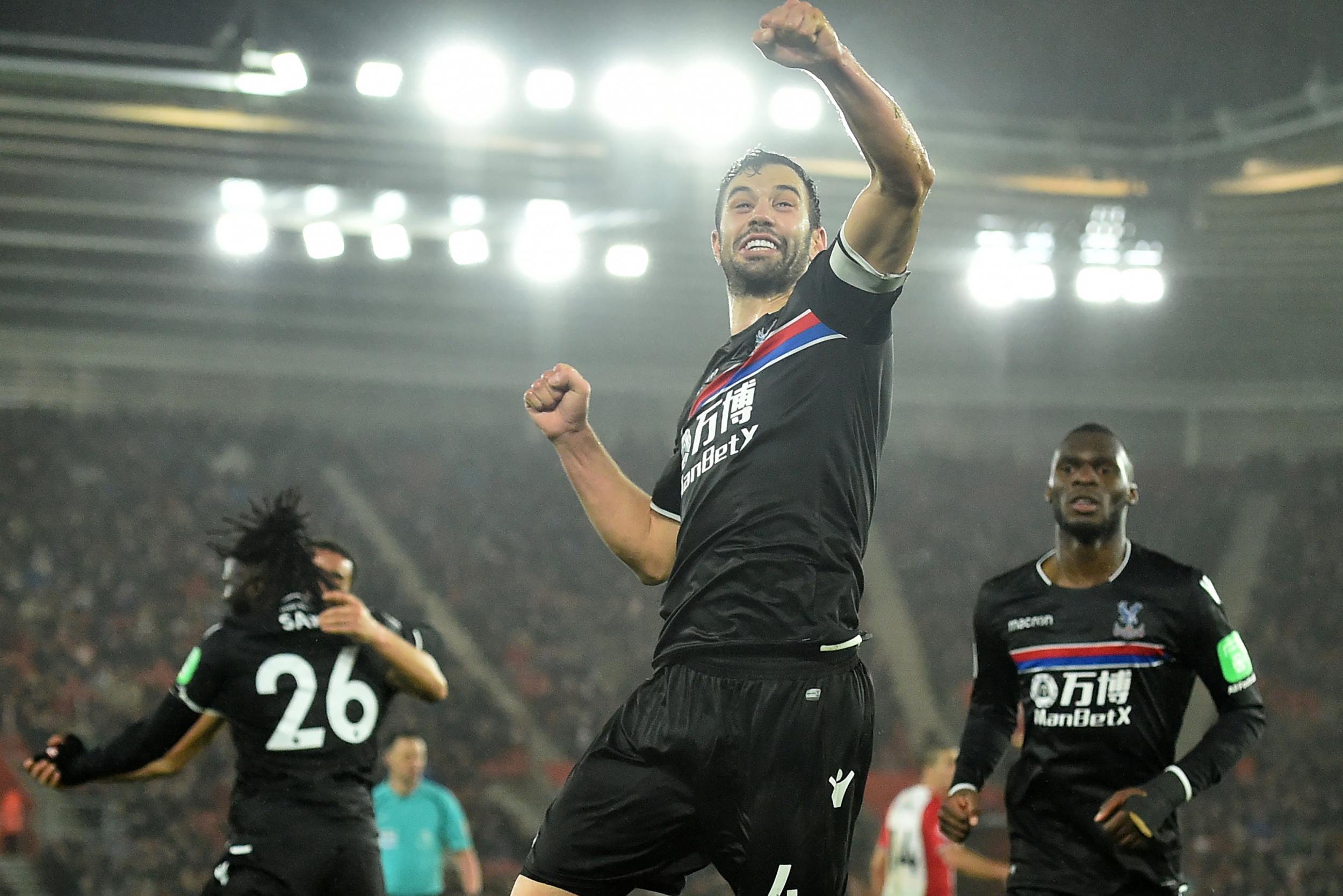 Luka Milivojevic celebrates Crystal Palace's winner