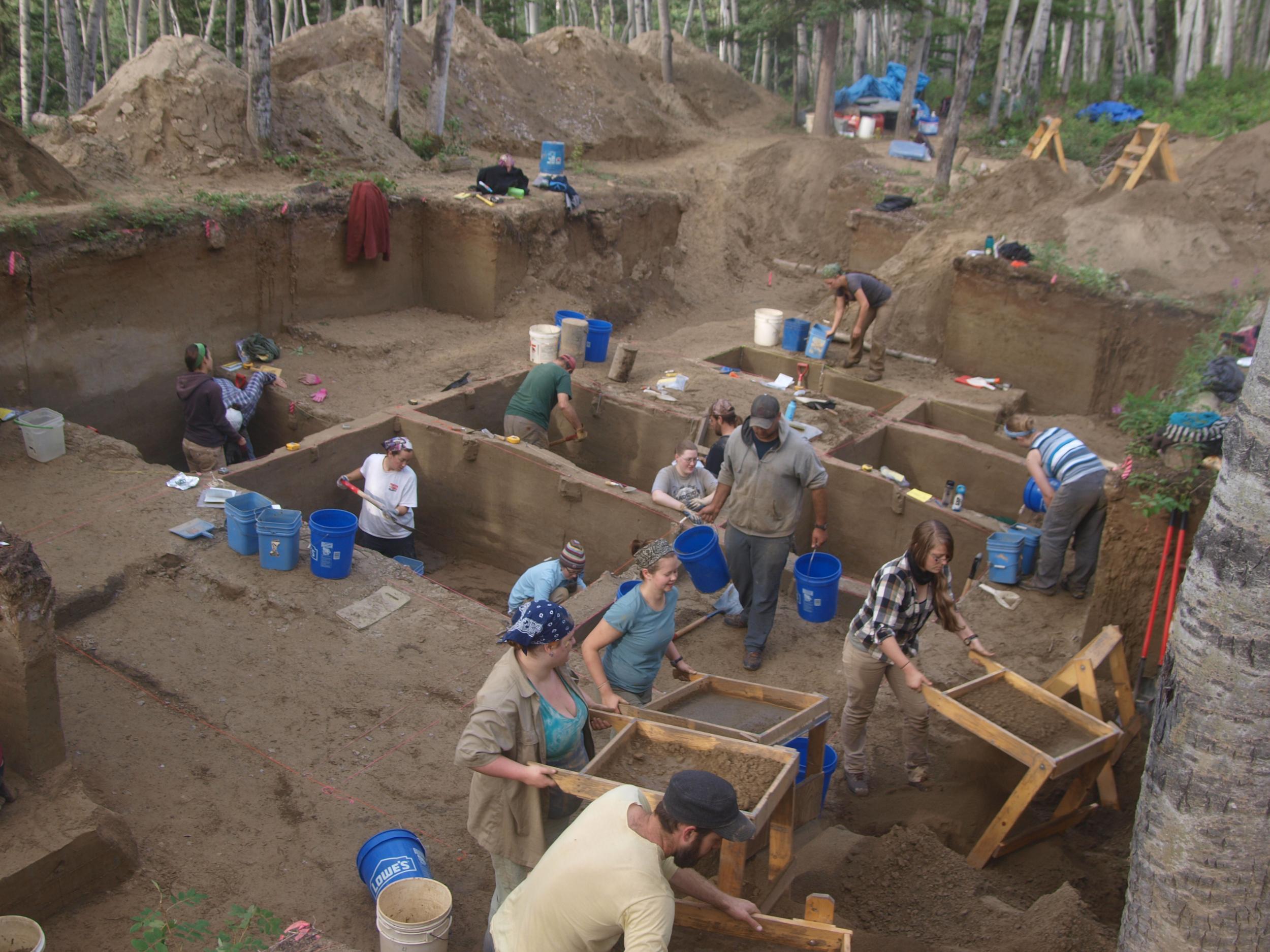 Excavation of the Upward Sun River site in Alaska where the prehistoric child's remains were found