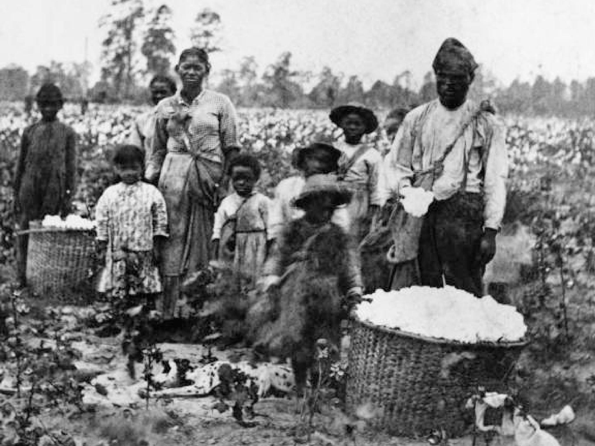 A slave family picking cotton in Georgia in the 1860s. Like many Southern anti-abolitionists, Nietzsche believed Africans were better suited to hard physical labour