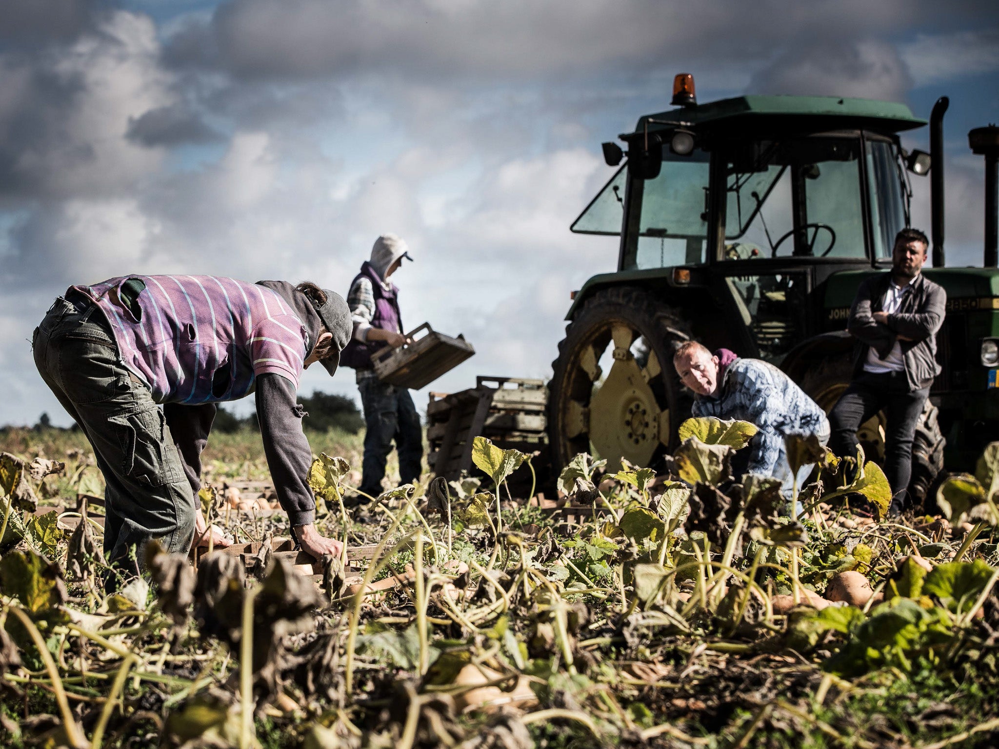 Agriculture is one of the industries identified as a risk for modern slavery in the UK