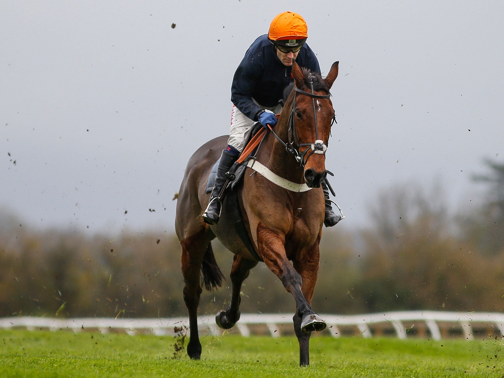 Tom Scudamore riding Thistlecrack at Wincanton racecourse