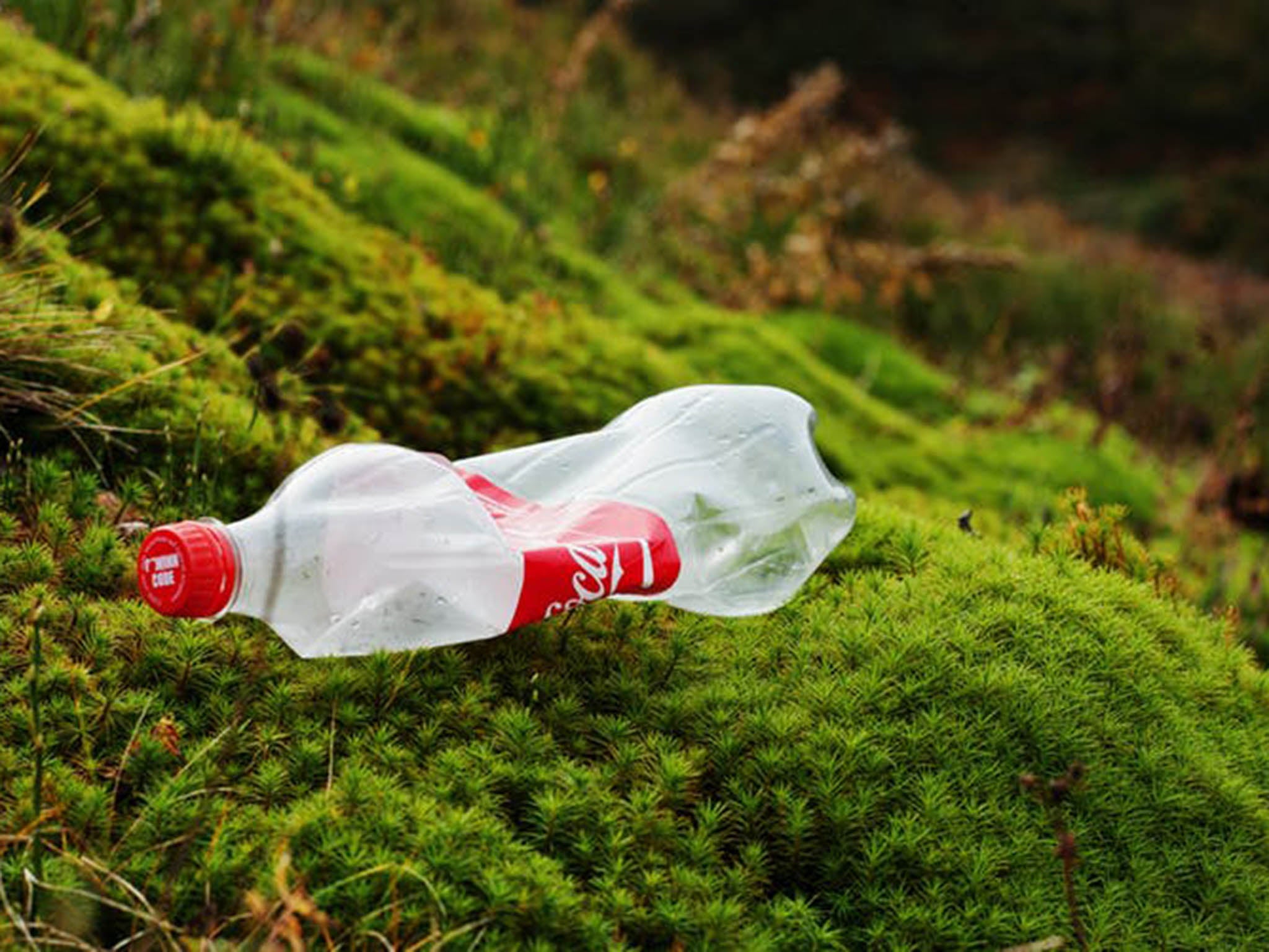 Throwaway culture: Coca-cola has committed to 50 per cent of its bottles containing recycled material, but more must be done