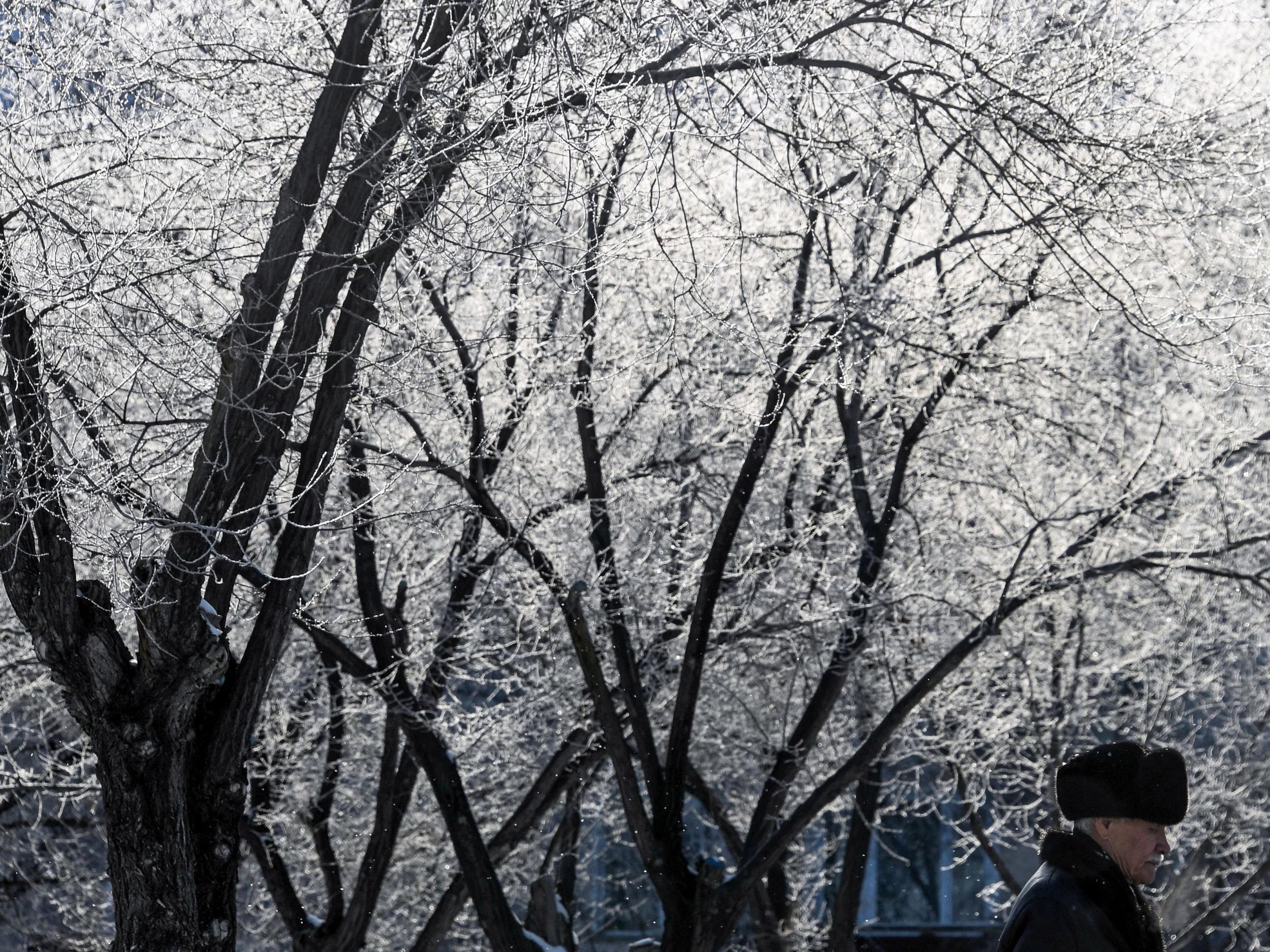 Officials are investigating after the typically crisp white snow that cover Temirtau in January turned the colour of coal