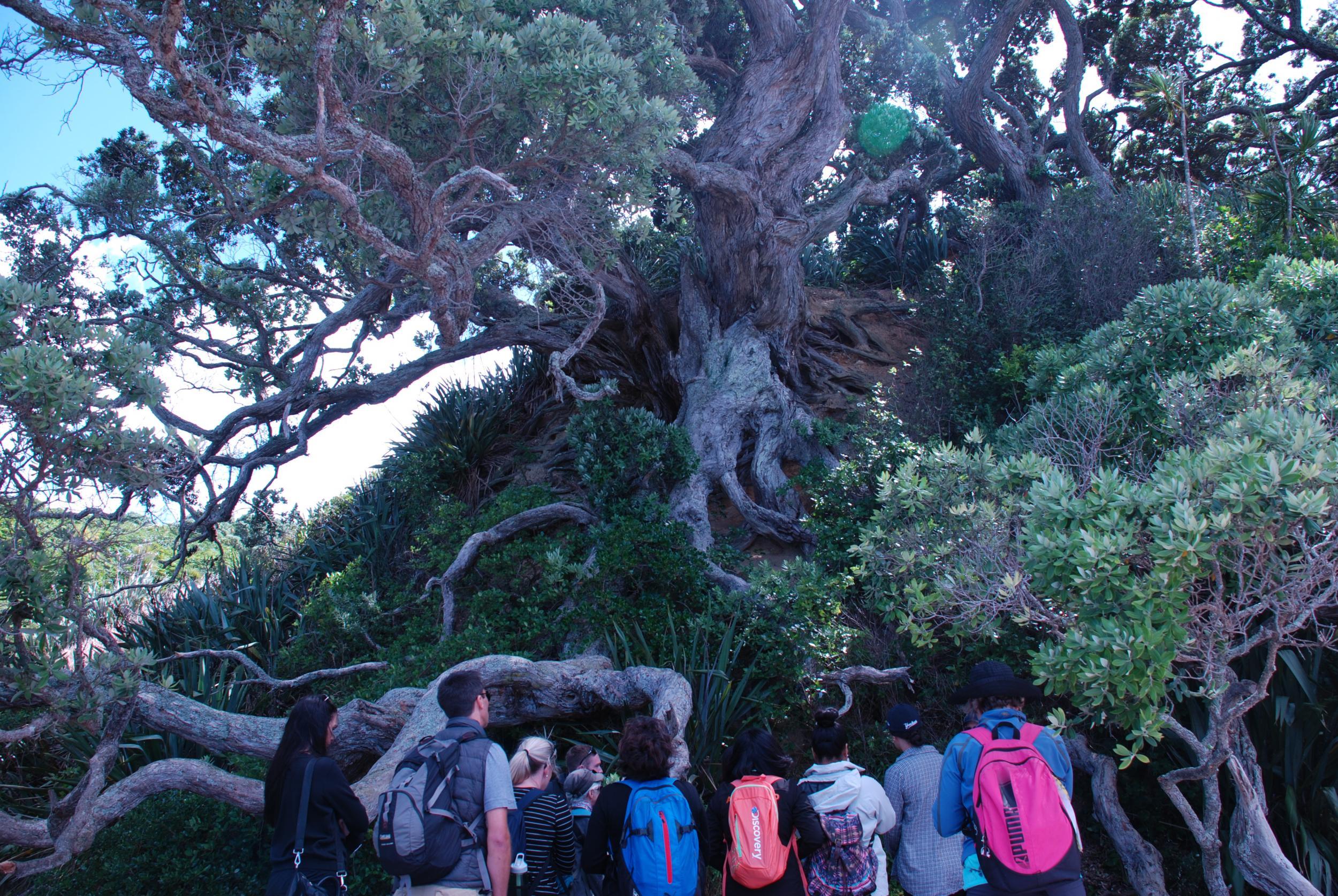 The plant life is equally impressive