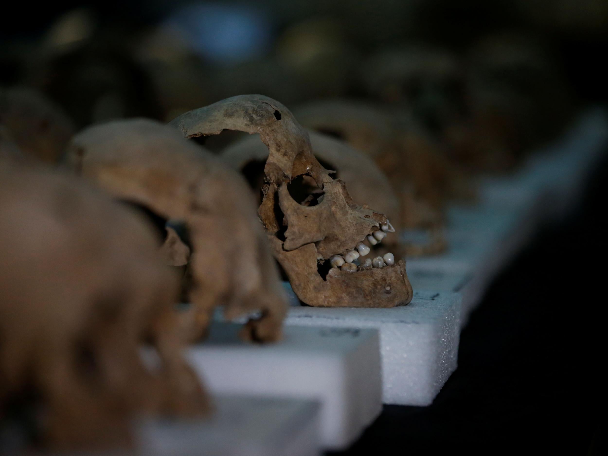 Scientists analysed DNA extracted from the teeth of skeletons in a cemetery in Mexico