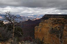 Grand Canyon: Fourth person dies in a month after veering off trail