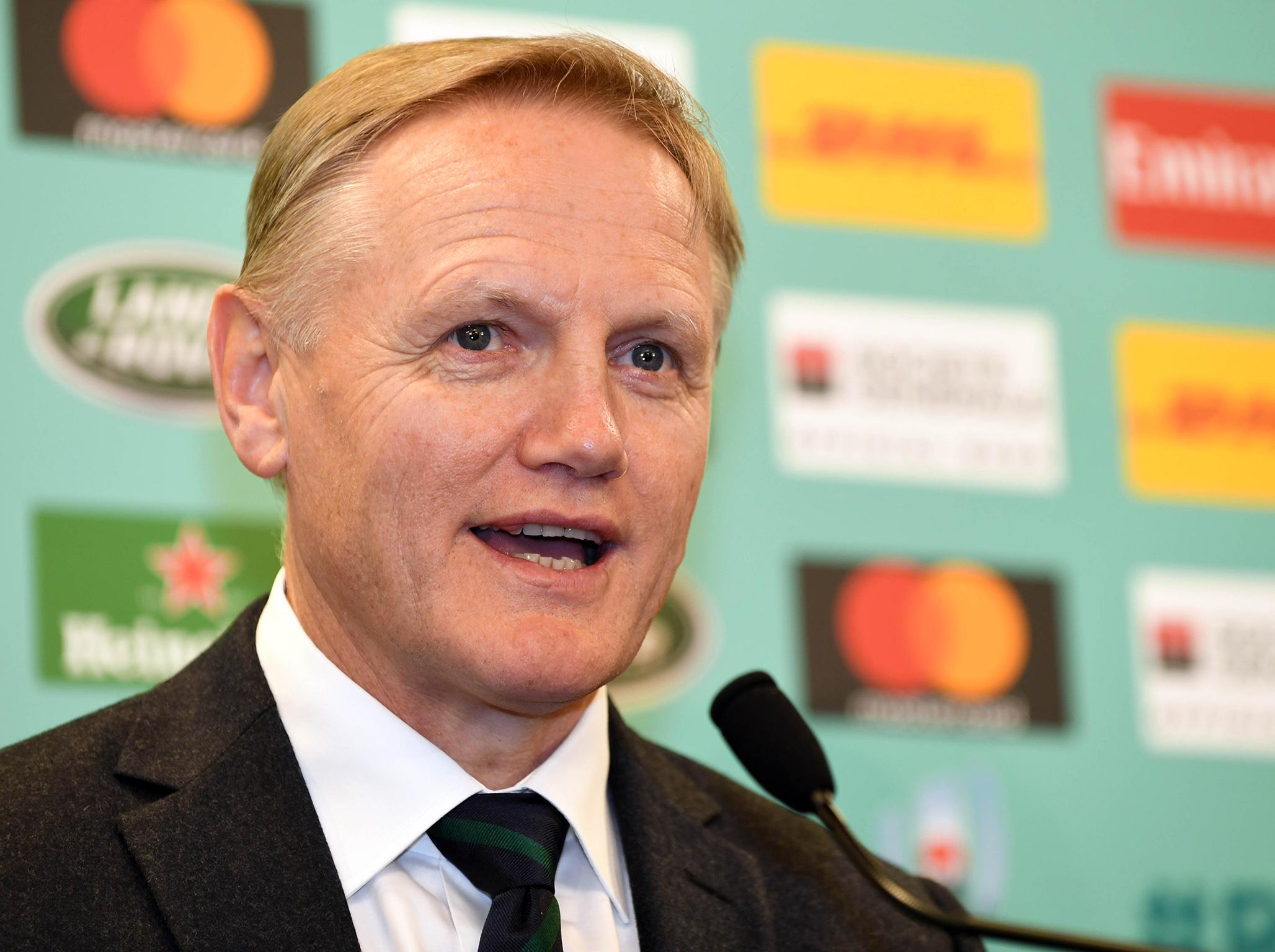Joe Schmidt has named his 36-man Ireland squad