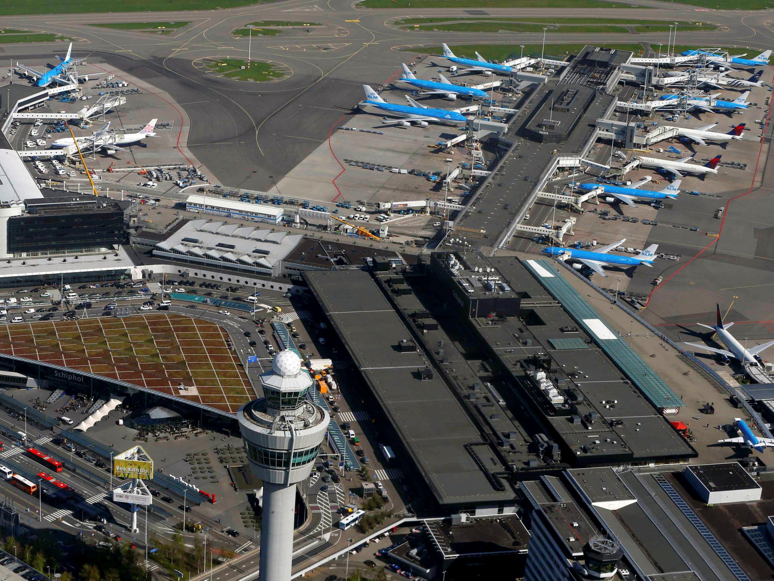 Staying put: KLM, the main airline at Amsterdam Airport, has cancelled more than 250 flights