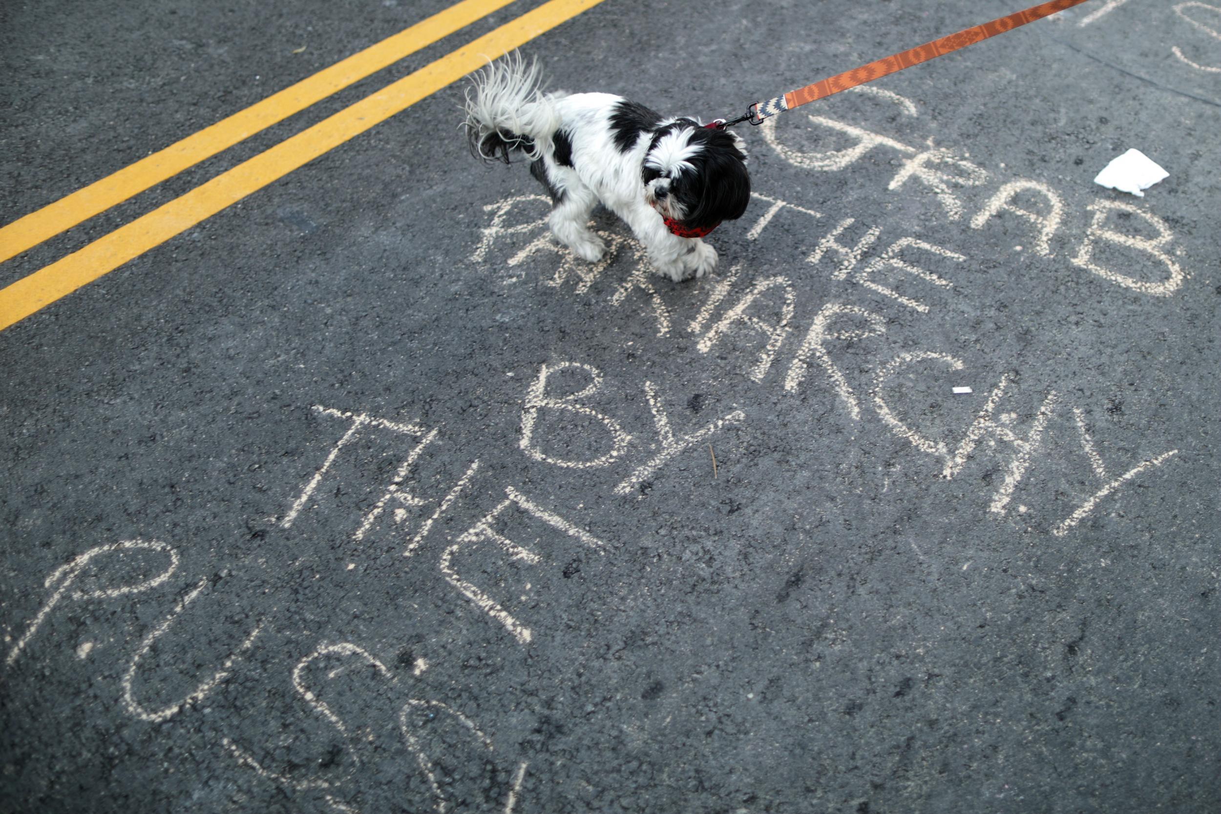 A chalk slogan in Los Angeles on International Women's Day last year