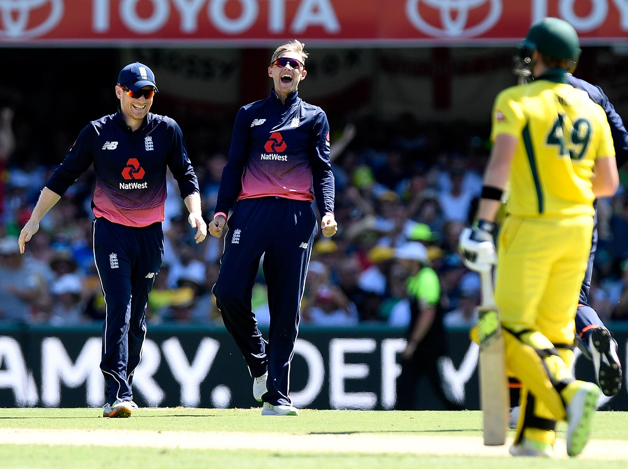 Joe Root celebrates taking the wicket of Steve Smith