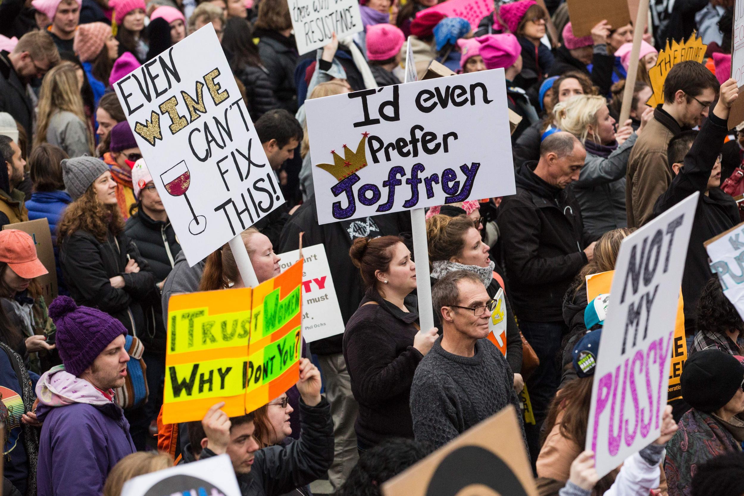 Protesters on the National Mall in Washington for the Women’s March on 21 January 2017