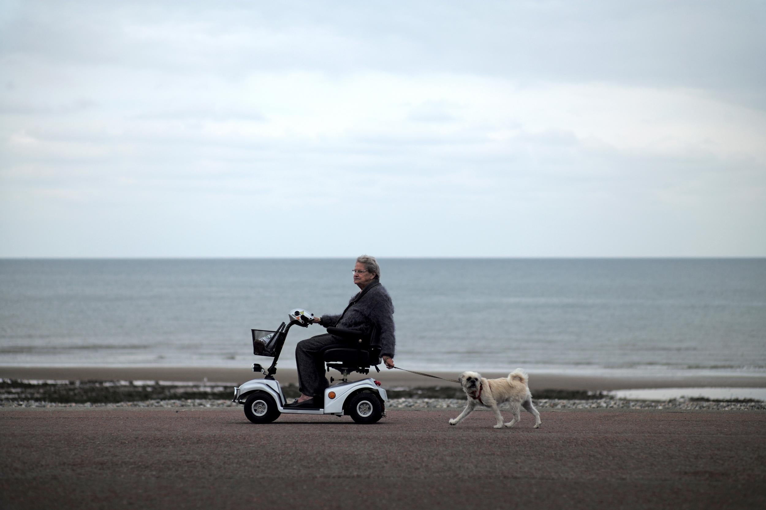 Born to be mild: I asked where the horn was. ‘We disconnect that because otherwise they’re at it all the time’