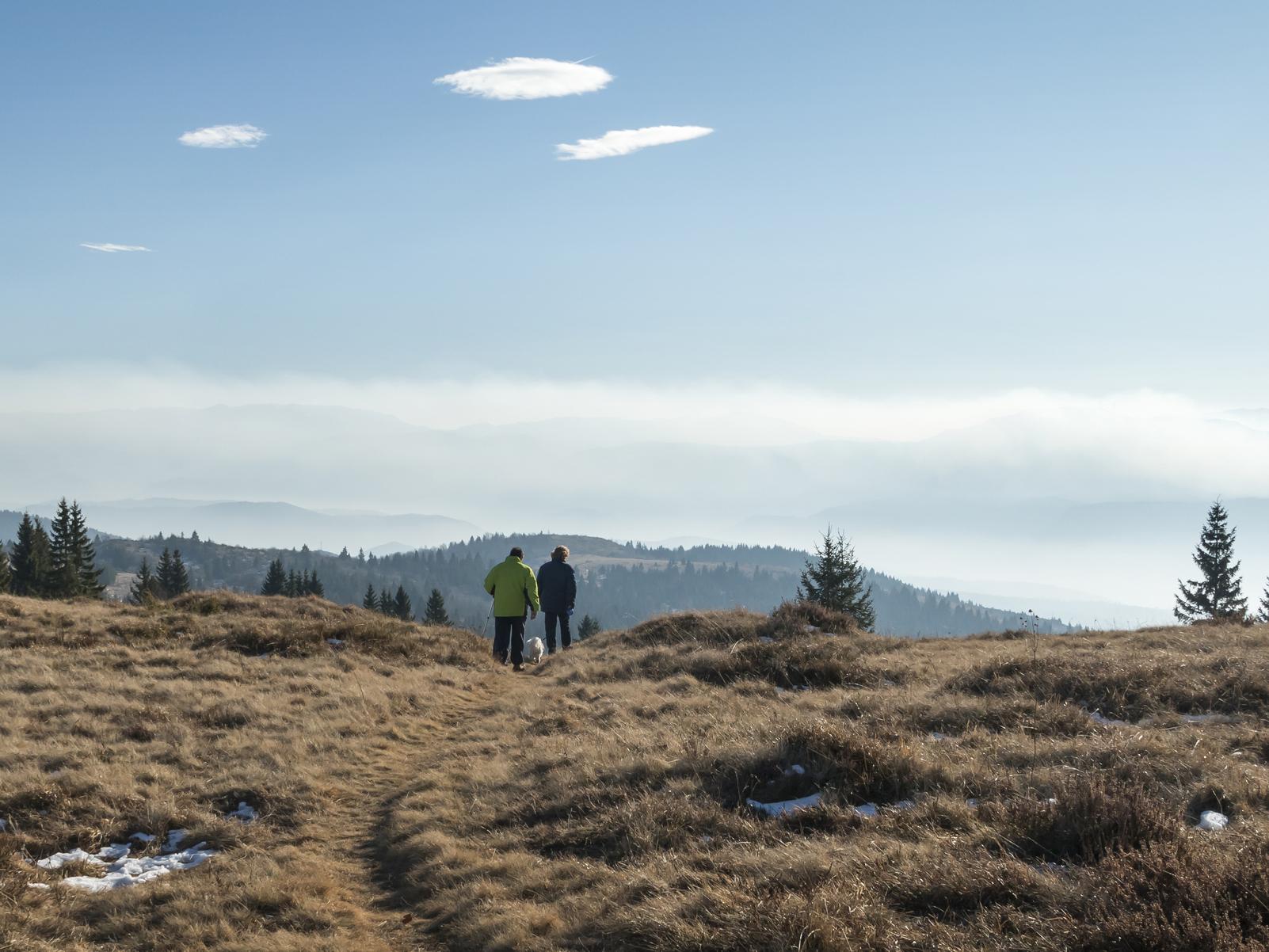 A coalition of environmental organisations has said the UK is likely to lose some of its environmental protections following Brexit