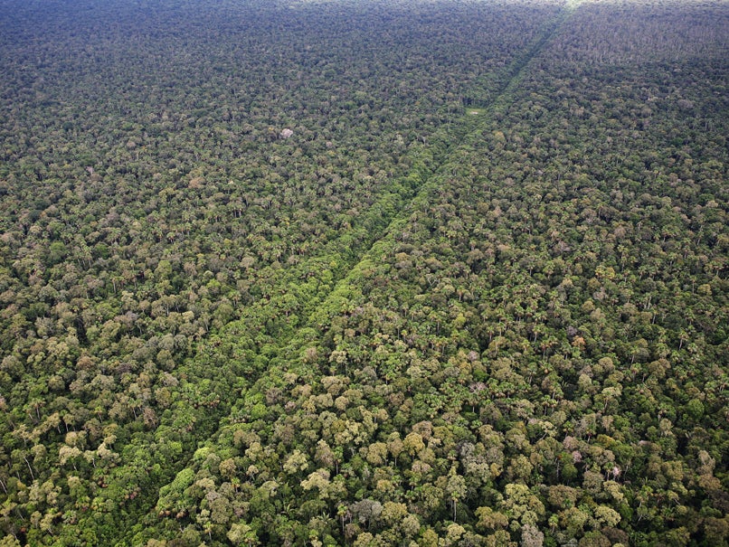 An existing road running through the Amazon in Peru