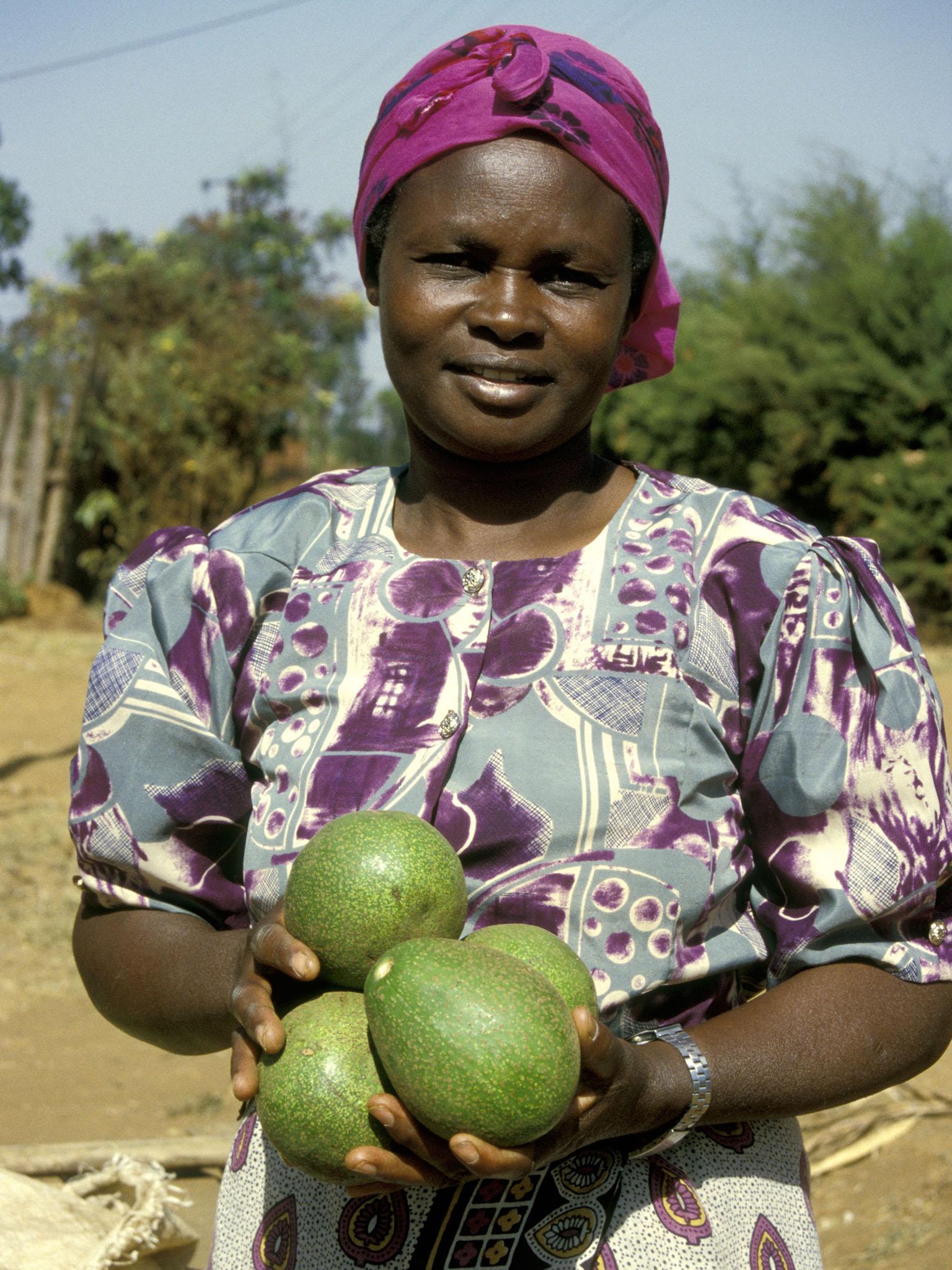 Kenya banned exporting avocados this week because the country's own supply was at risk