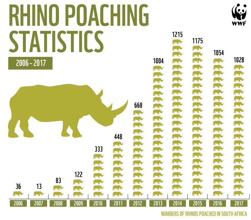 The graph shows the 10-year surge in rhino poaching in South Africa