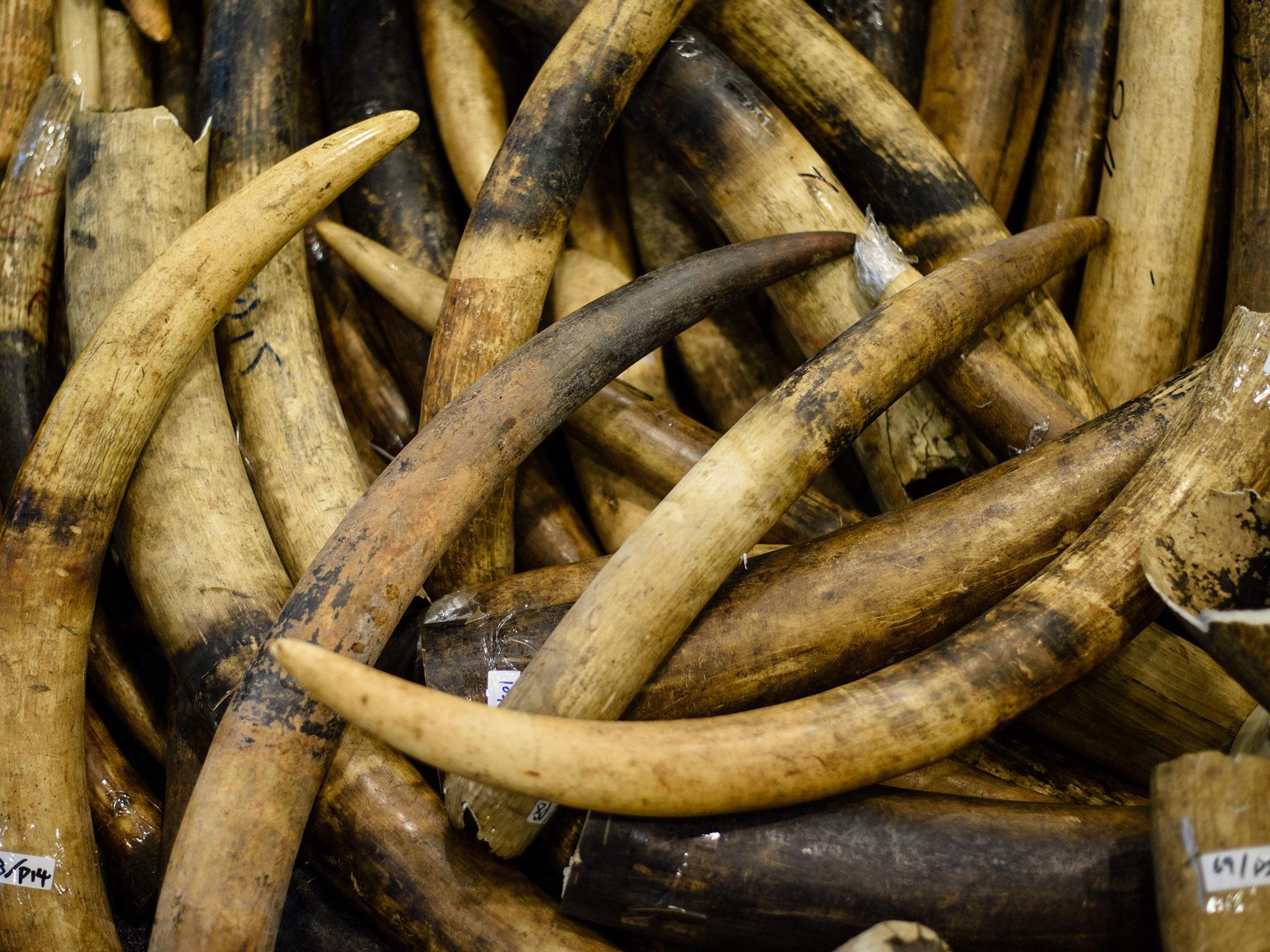 Hong Kong politicians vote to ban ivory sales in landmark bill to end the infamous trade in the city