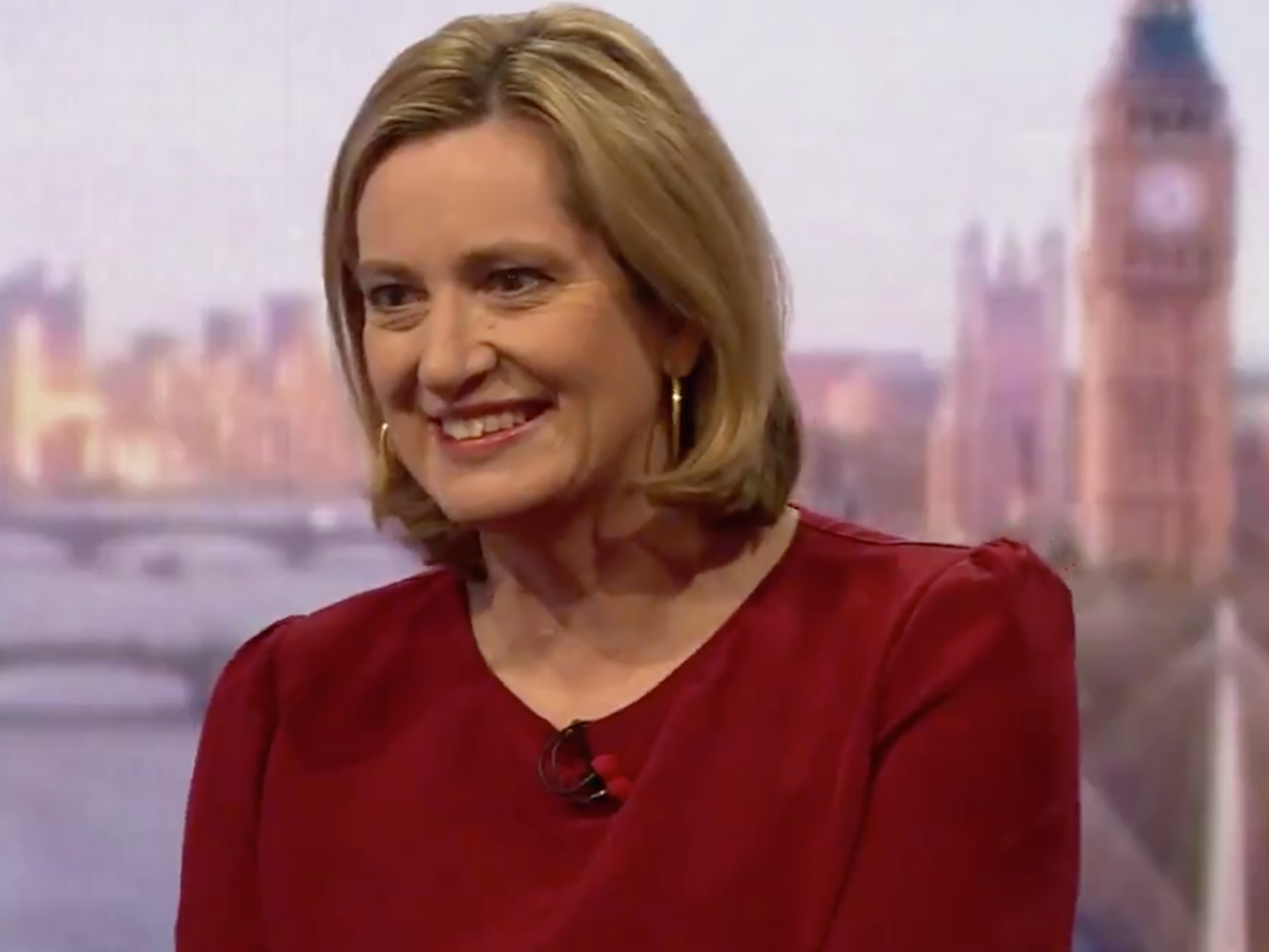 Home secretary's shopping metaphor leaves many baffled