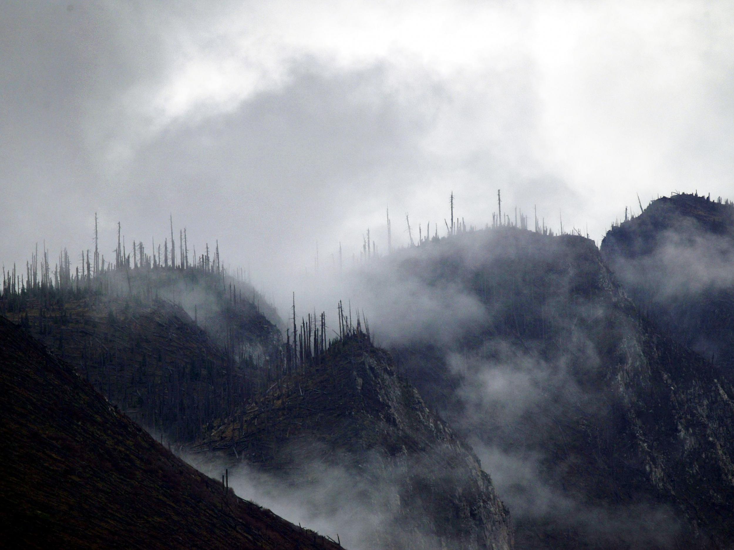 Volcanic eruptions in Siberia are likely to have caused the Permian extinction, and new research suggests their destruction of the planet's ozone layer would have