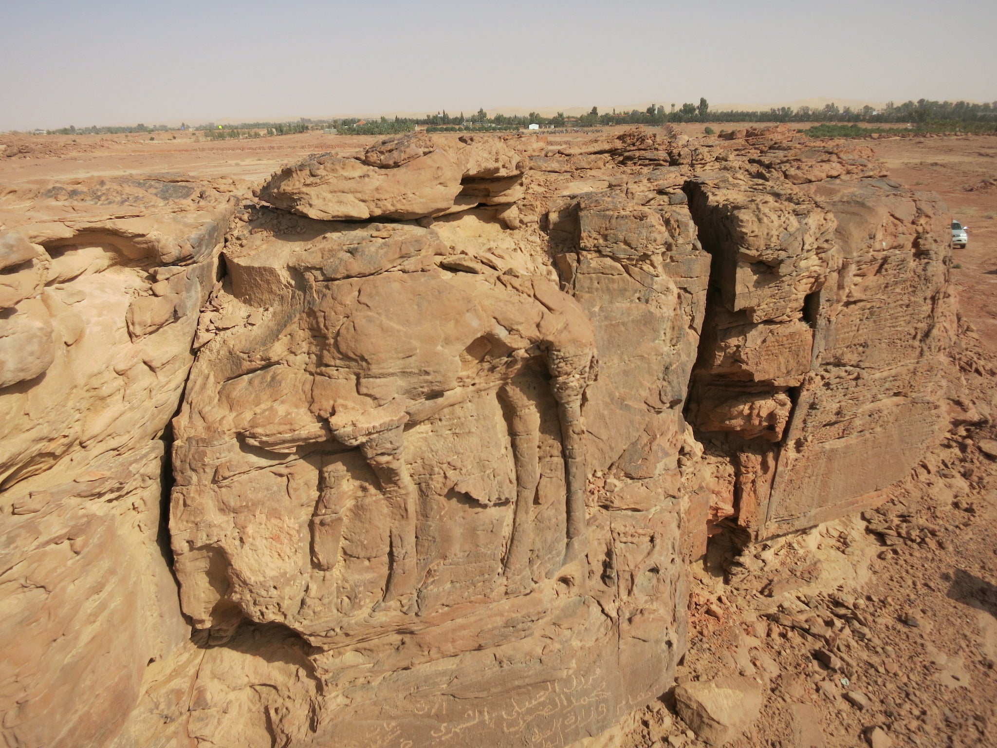 High relief carving of a standing dromedary on sandstone spur