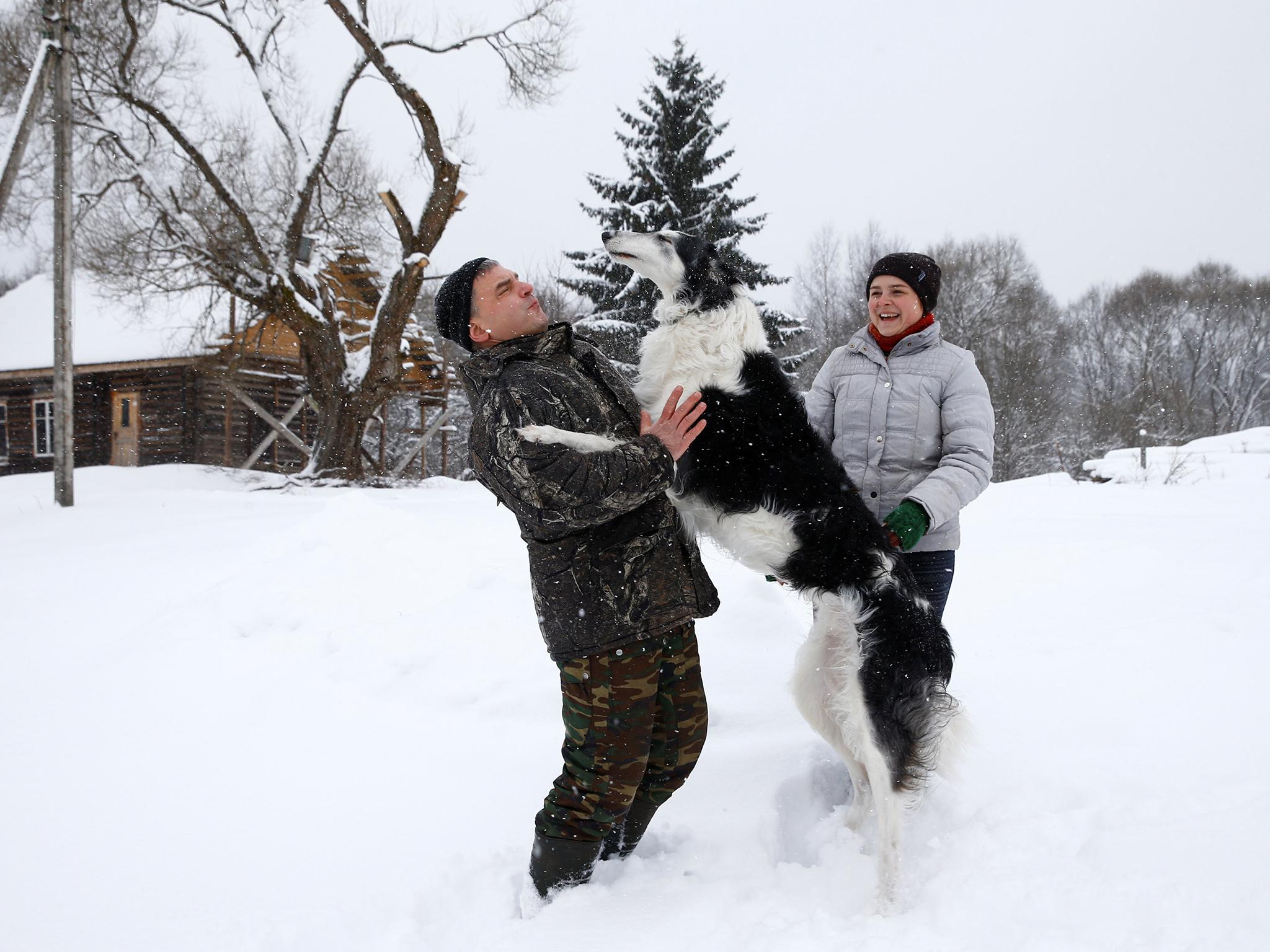 Dmitry Shamovich and his wife Anastasia Kuzmenkova play with the dog Amur at their homestead Zaimka Leshego in the village of Sosnovy Bor, Belarus, February 7, 2018. "Four years ago I was here, at the homestead for the first time - we arrived with other birdwatchers to build artificial nests for owls. And I met Dmitry, the owner of homestead, for the first time, here. Later we met again, when I arrived to be a volunteer in a project related to capercaillie. After that we made more projects together and one day I understood I fell in love with him. It was mutual," said Anastasia. REUTERS/Vasily Fedosenko      SEARCH "GLOBAL LOVE" FOR THIS STORY. SEARCH "WIDER IMAGE" FOR ALL STORIES.